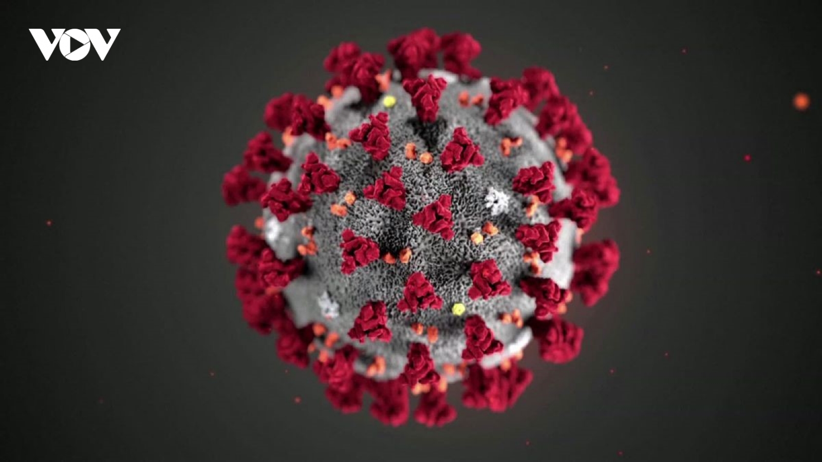 Tại sao biến thể Delta lây lan nhanh hơn nhiều so với các chủng virus khác?