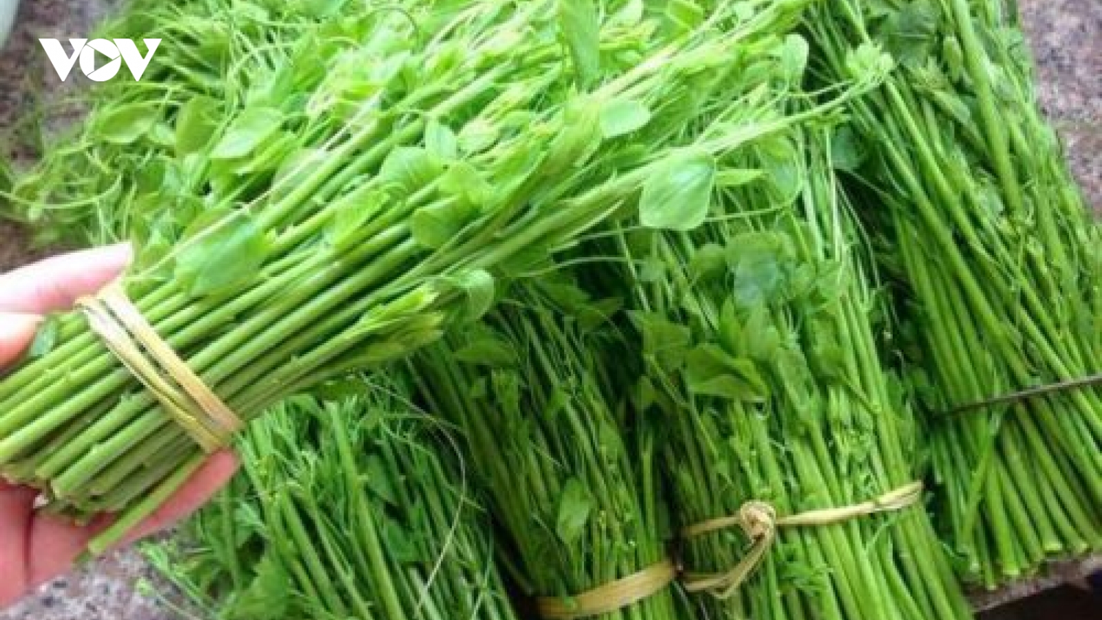 Những loại rau dại của nhà nghèo nay trở thành đặc sản của nhà giàu