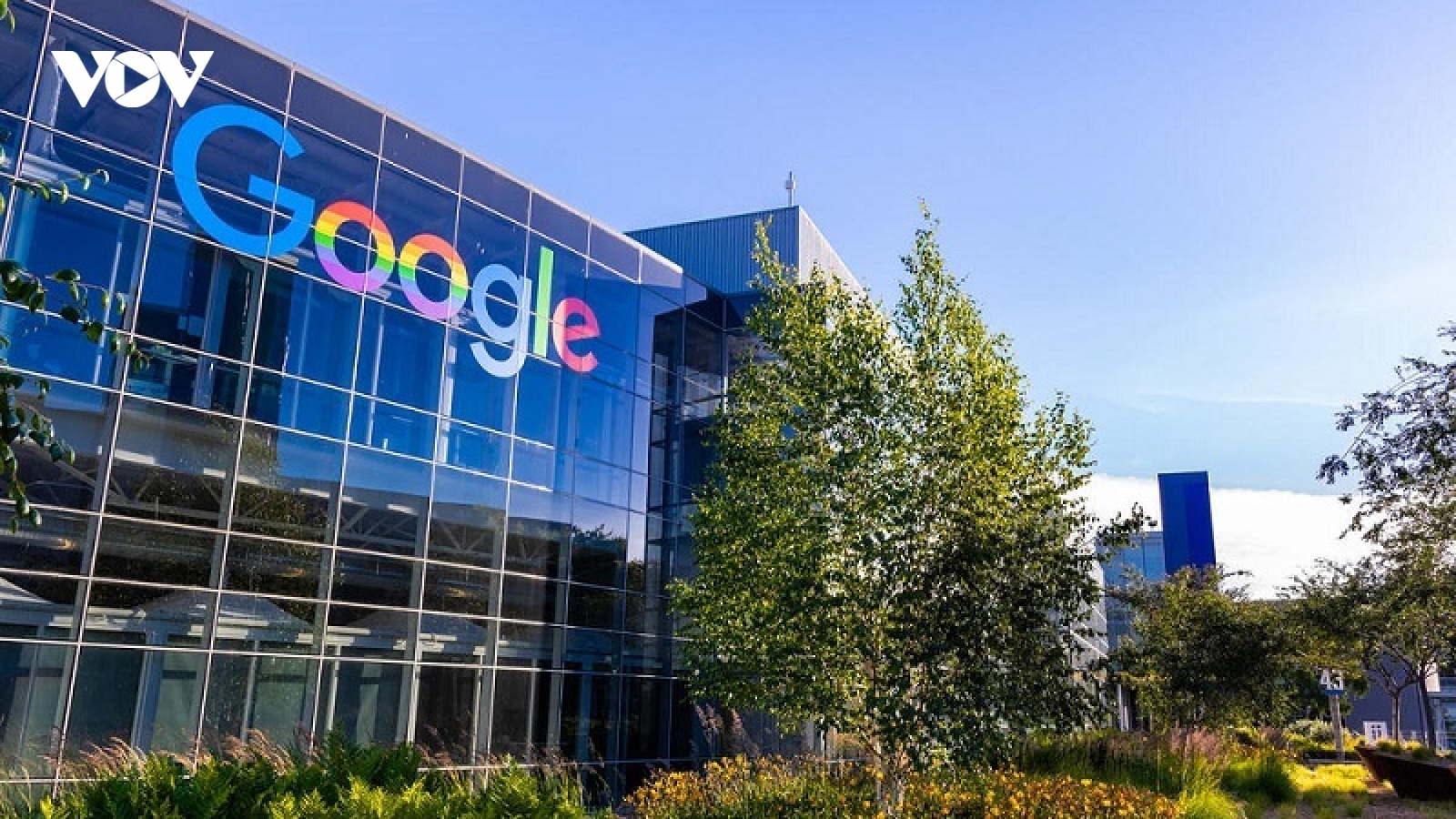Nhân viên Google giảm 1/4 lương khi làm việc tại nhà