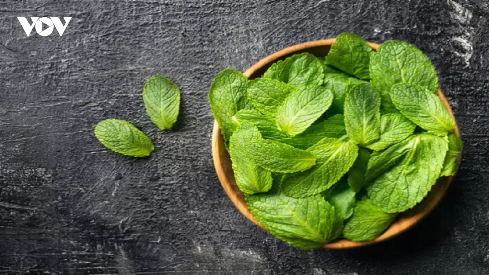 Bật mí những lợi ích bất ngờ của bạc hà trong chăm sóc da
