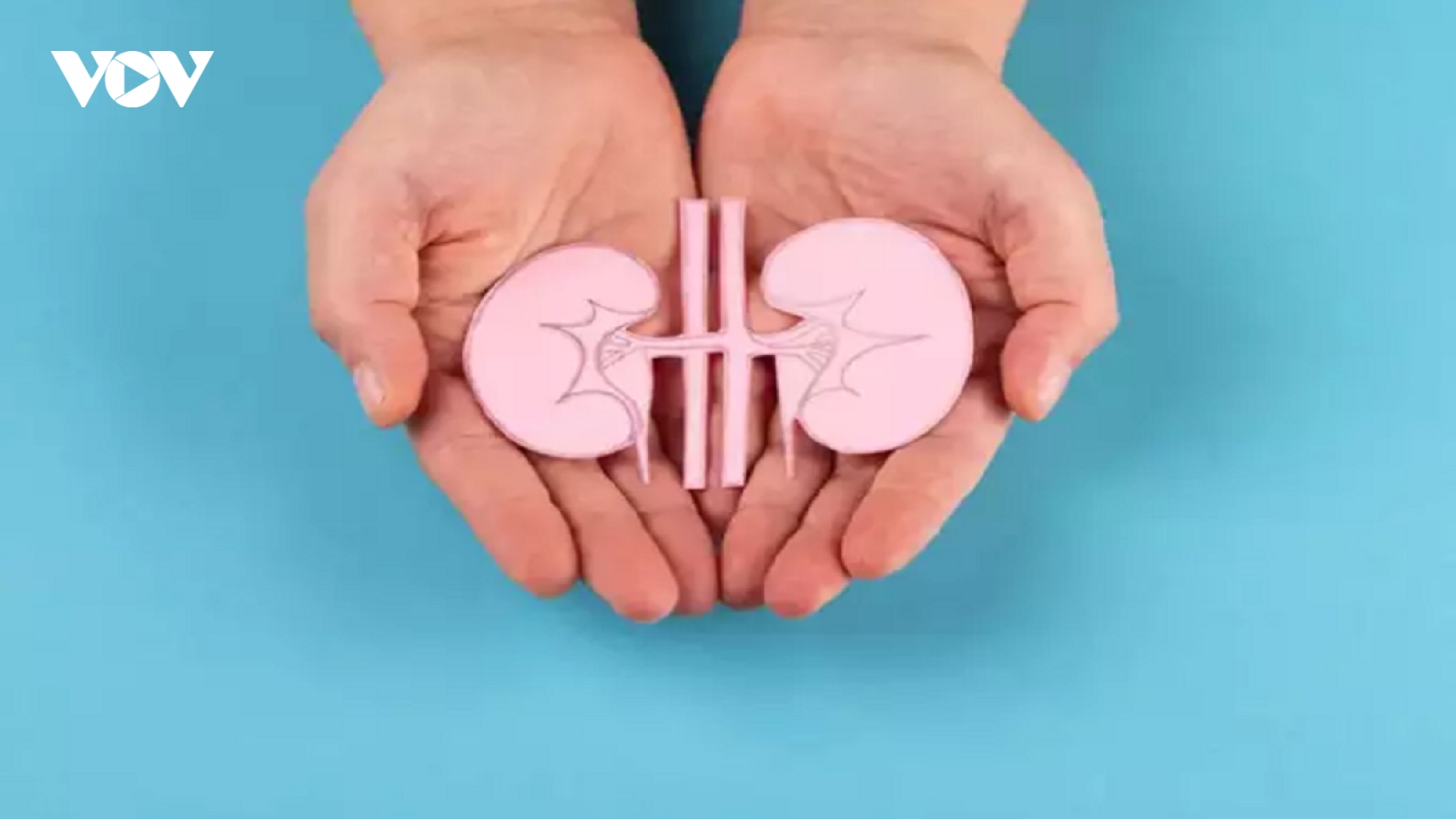 7 dấu hiệu của bệnh thận bạn không nên bỏ qua