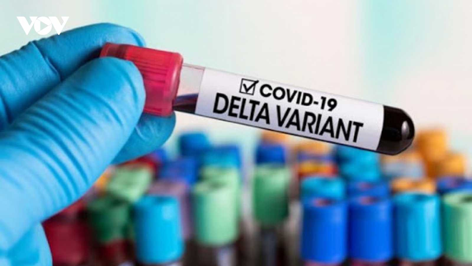 Khi nào biến thể Delta sẽ trở nên “hung dữ nhất” và sau đó suy yếu dần?