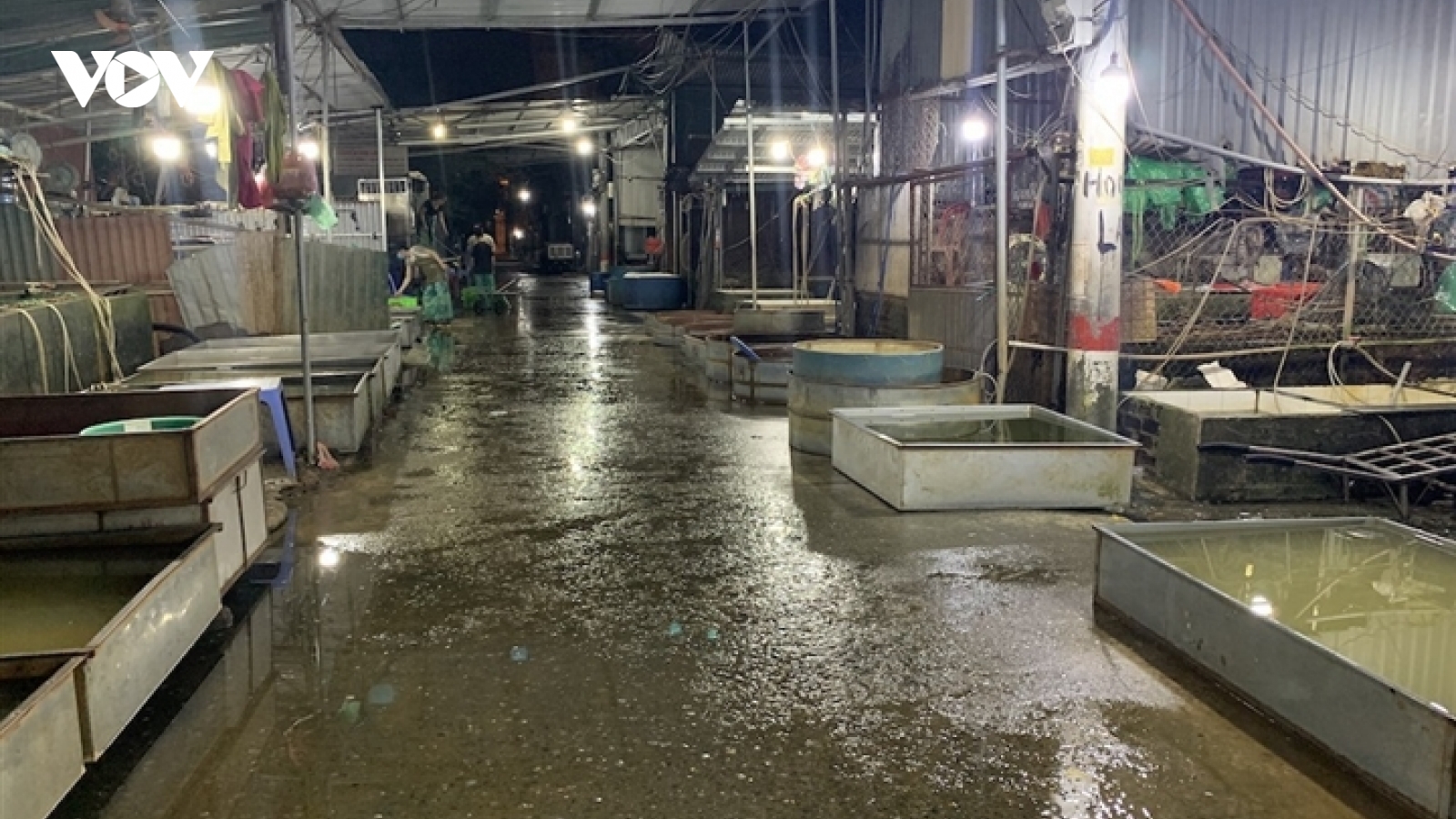 Chợ cá lớn nhất Hà Nội hoang vắng, tiểu thương nghỉ quá nửa vì Covid-19