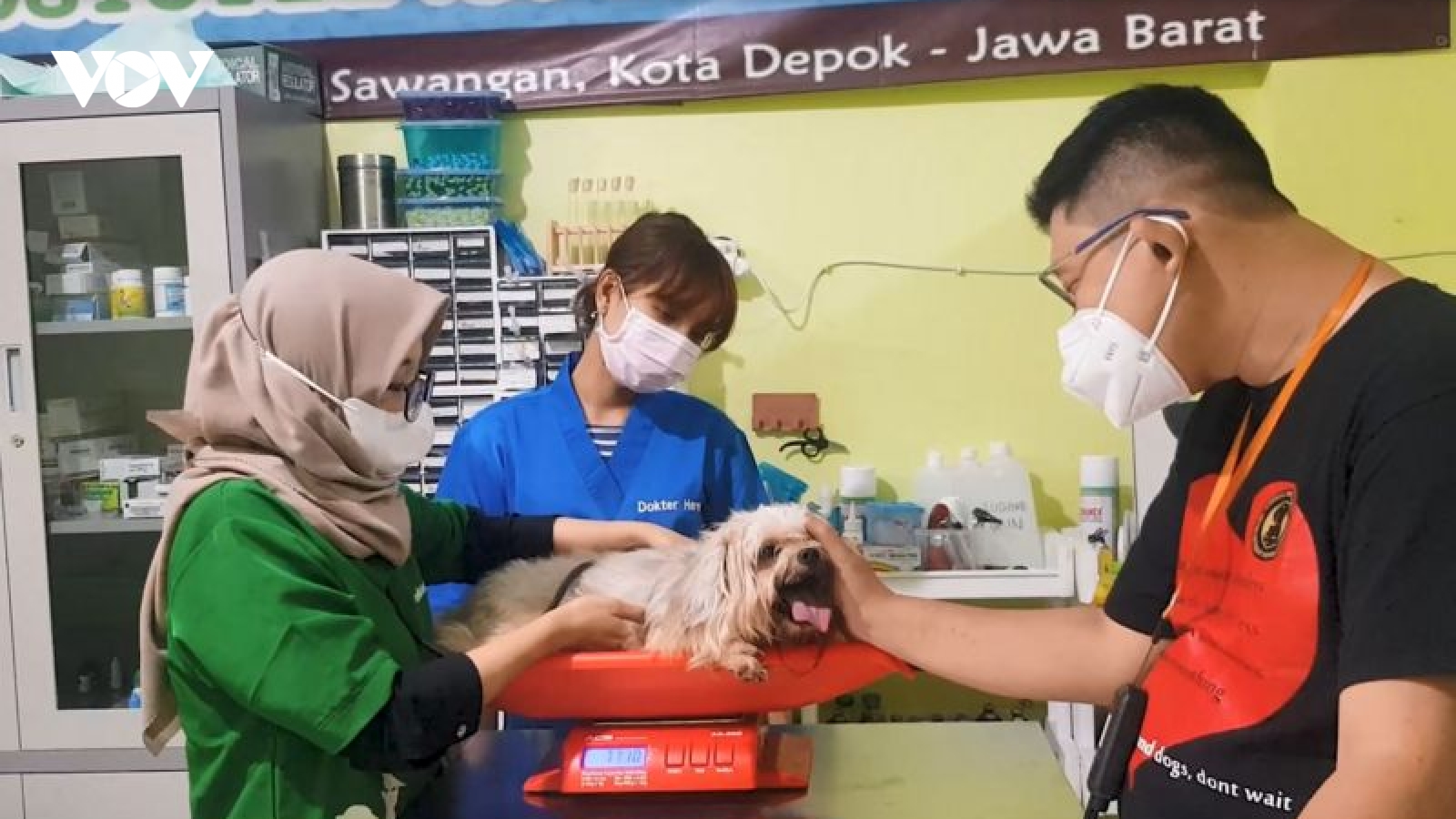 Câu chuyện của người Indonesia cứu hộ vật nuôi mắc COVID-19 miễn phí