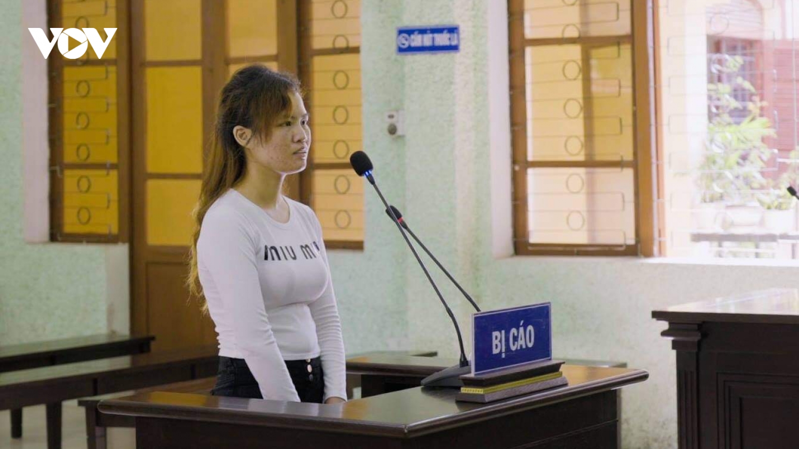 Giúp bạn vượt biên sang Trung Quốc lấy chồng, lĩnh án 12 tháng tù