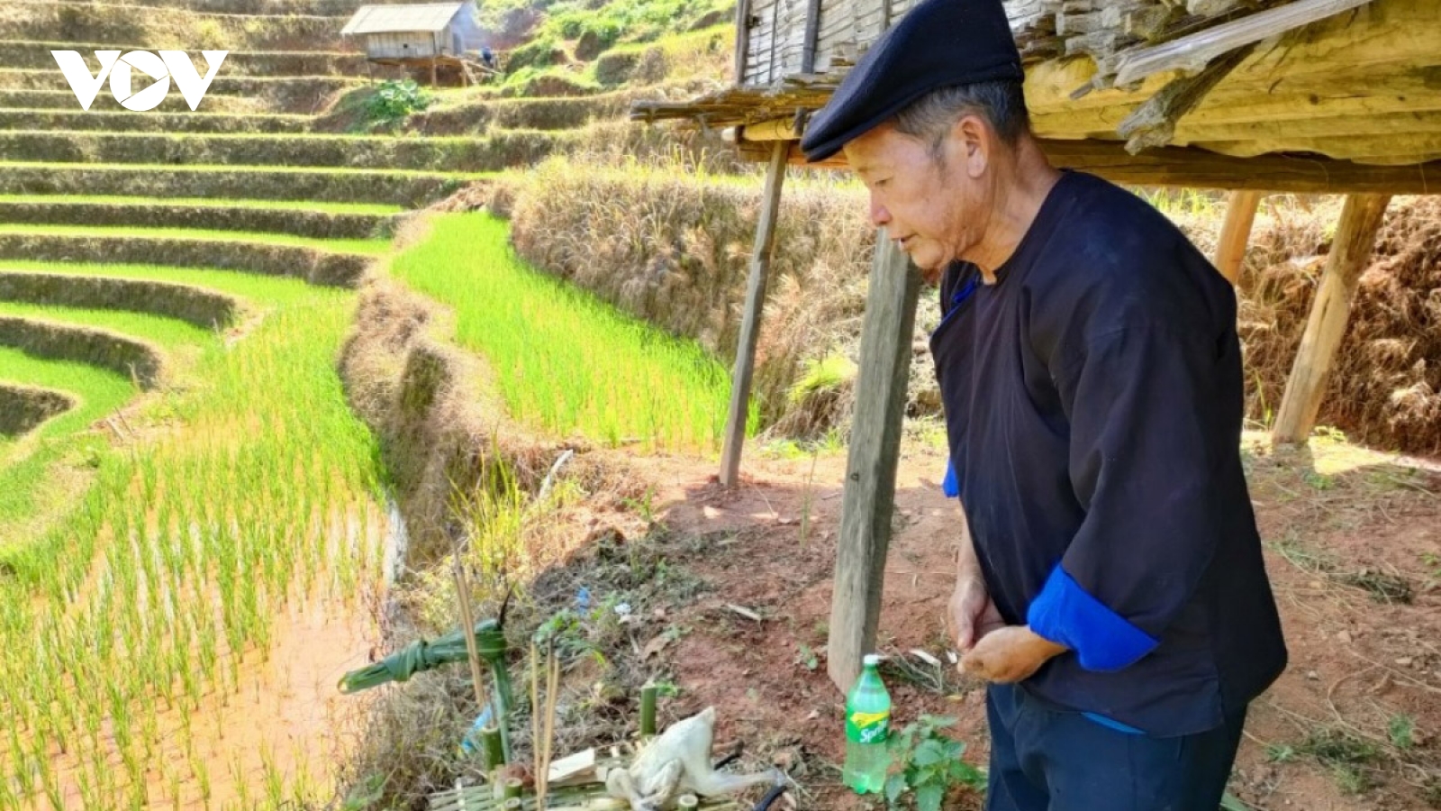 Unique terraced field worshiping ceremony of Mong ethnic people