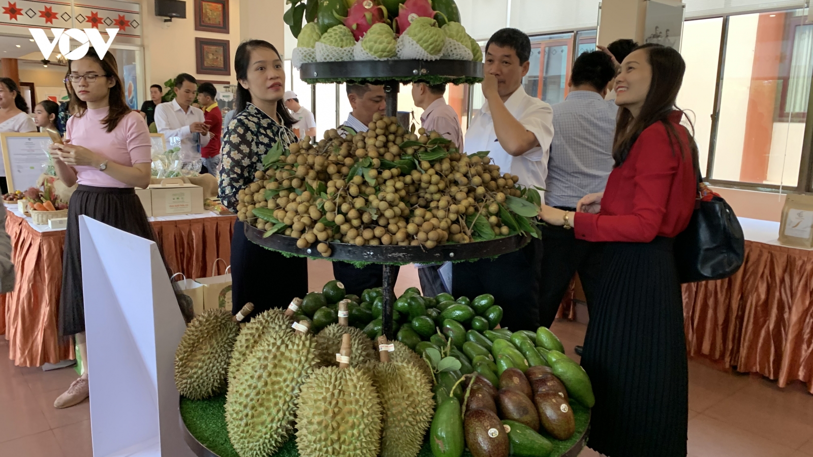 Đắk Lắk kiến nghị Bộ Công Thương hỗ trợ tiêu thụ sầu riêng và bơ