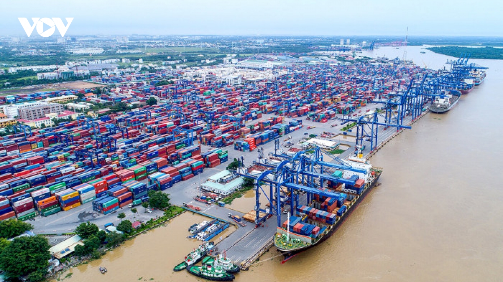 Báo cáo Thủ tướng giải pháp tháo gỡ hàng tồn tại cảng Cát Lái
