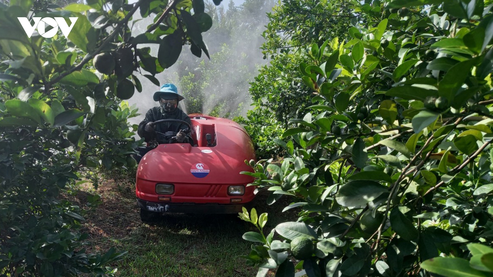 Nông dân ứng dụng cơ giới hóa trong sản xuất, yên tâm phòng chống Covid 19