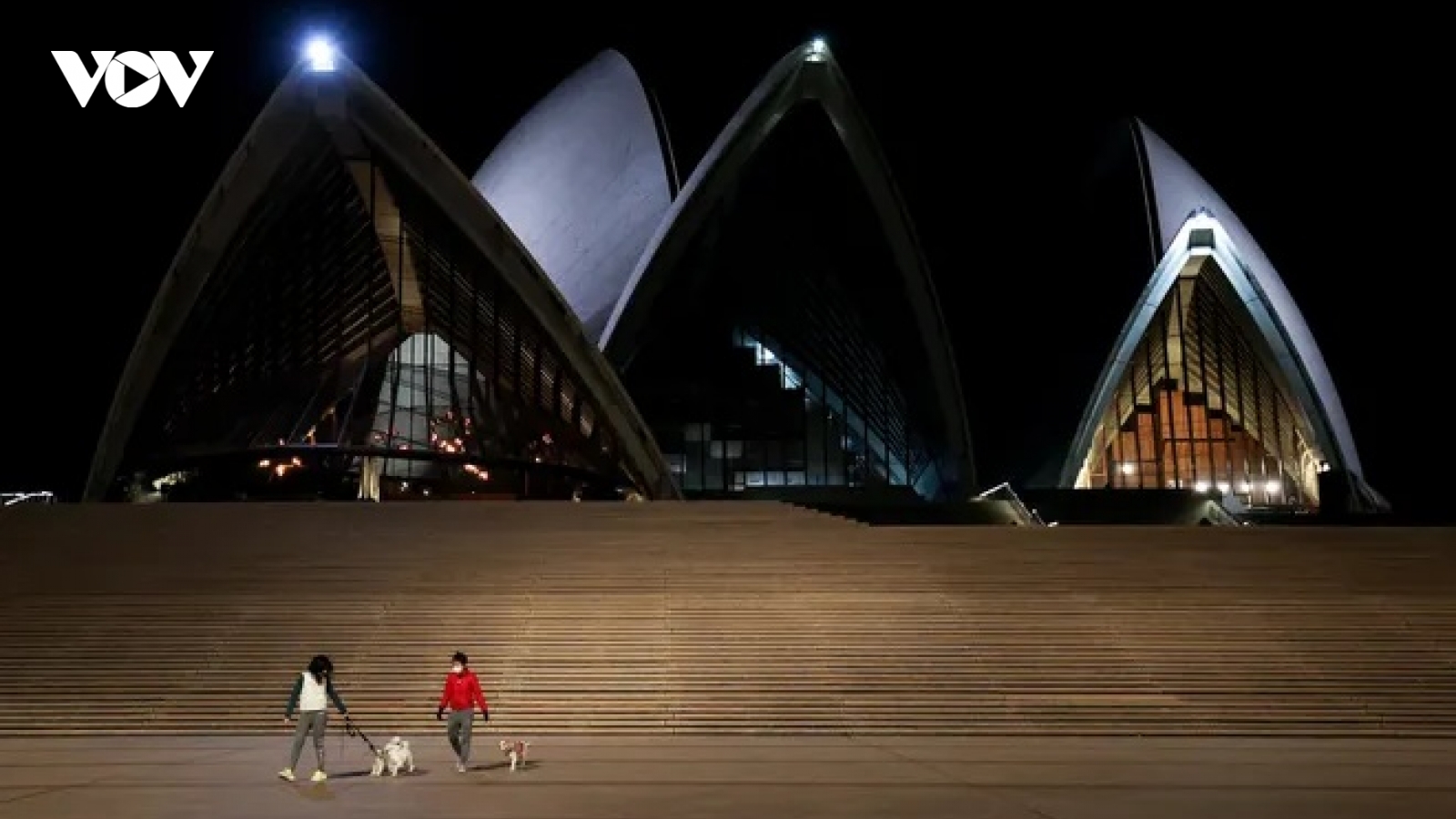 Australia: Bắn chết 15 con chó để ngăn ngừa Covid-19