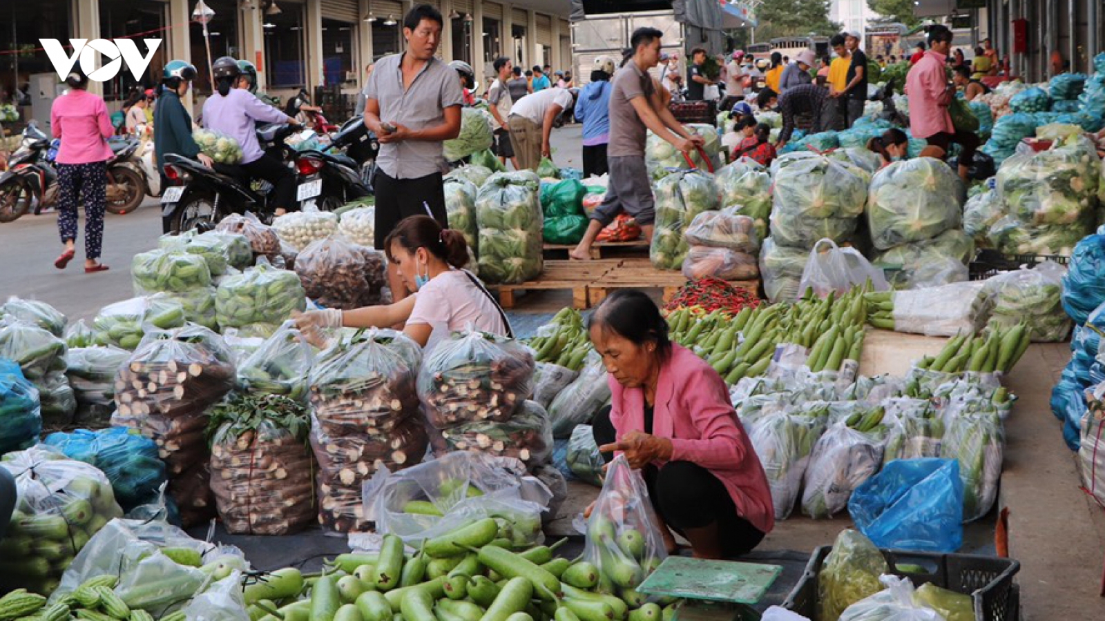 Hà Nội trưng dụng 5 địa điểm tập kết hàng hóa thiết yếu