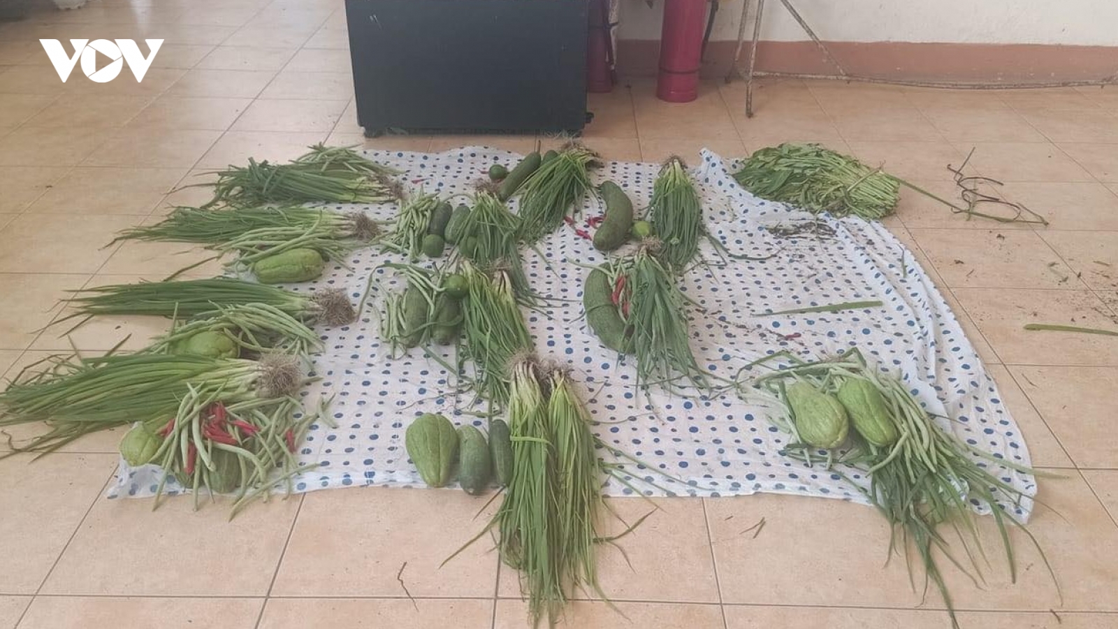 Đà Nẵng chấn chỉnh việc thiếu thực phẩm trong khu phong toả