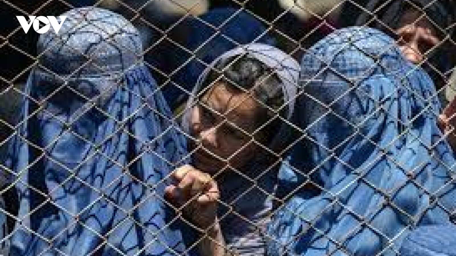Hơn 20 nước ra tuyên bố chung về tình hình phụ nữ và trẻ em gái ở Afghanistan