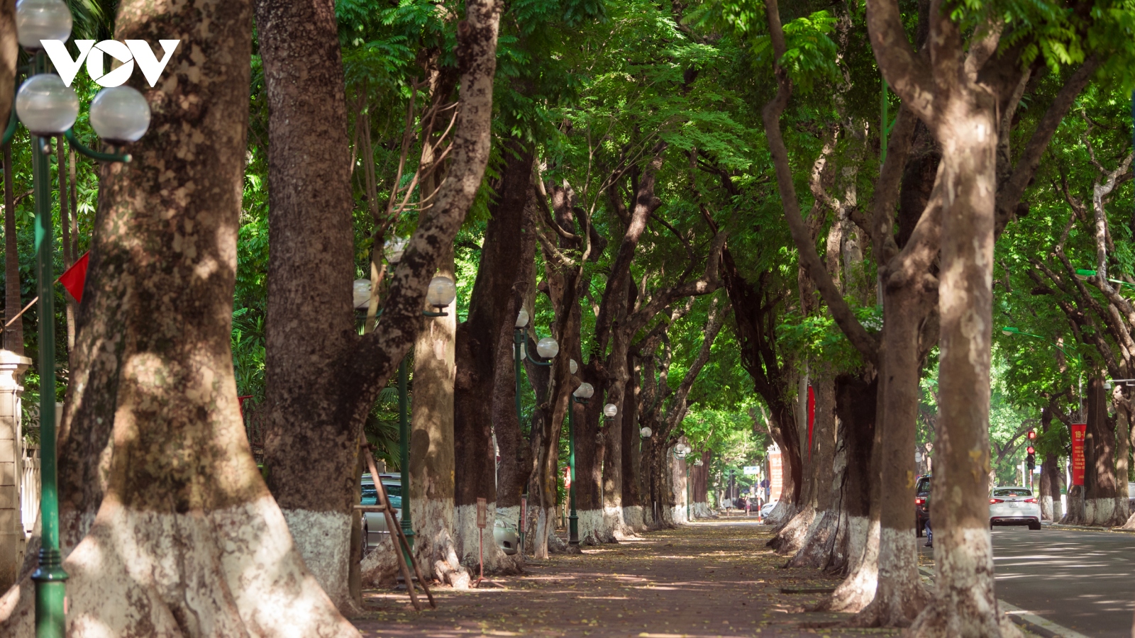 Lặng lẽ ngắm Hà Nội vào thu