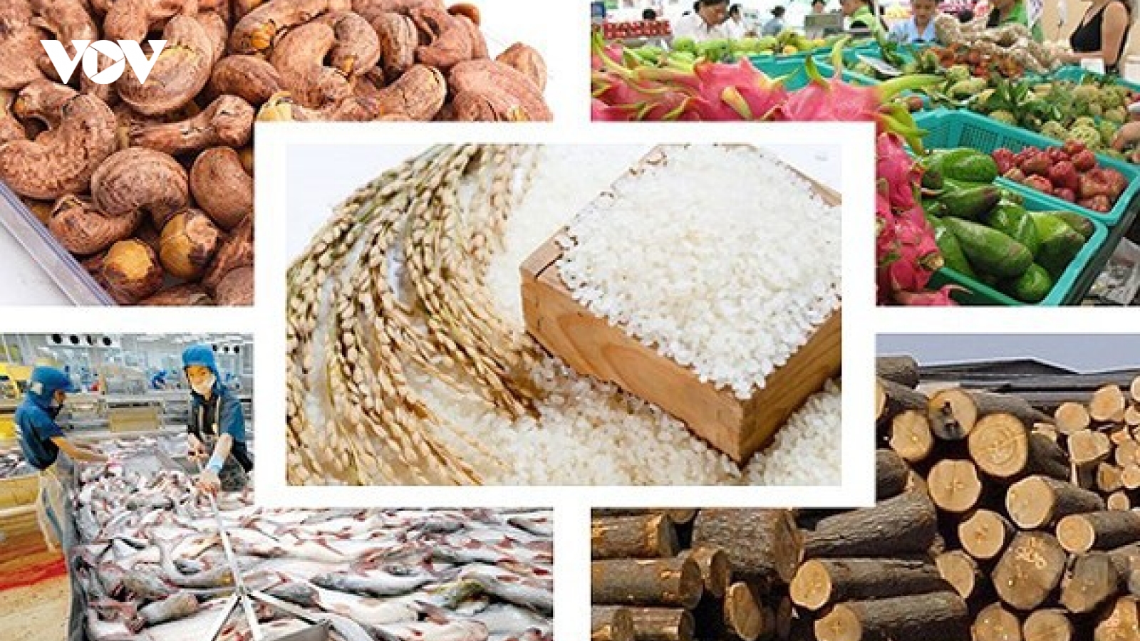 Thị trường Đức nhiều tiềm năng cho nông sản Việt Nam
