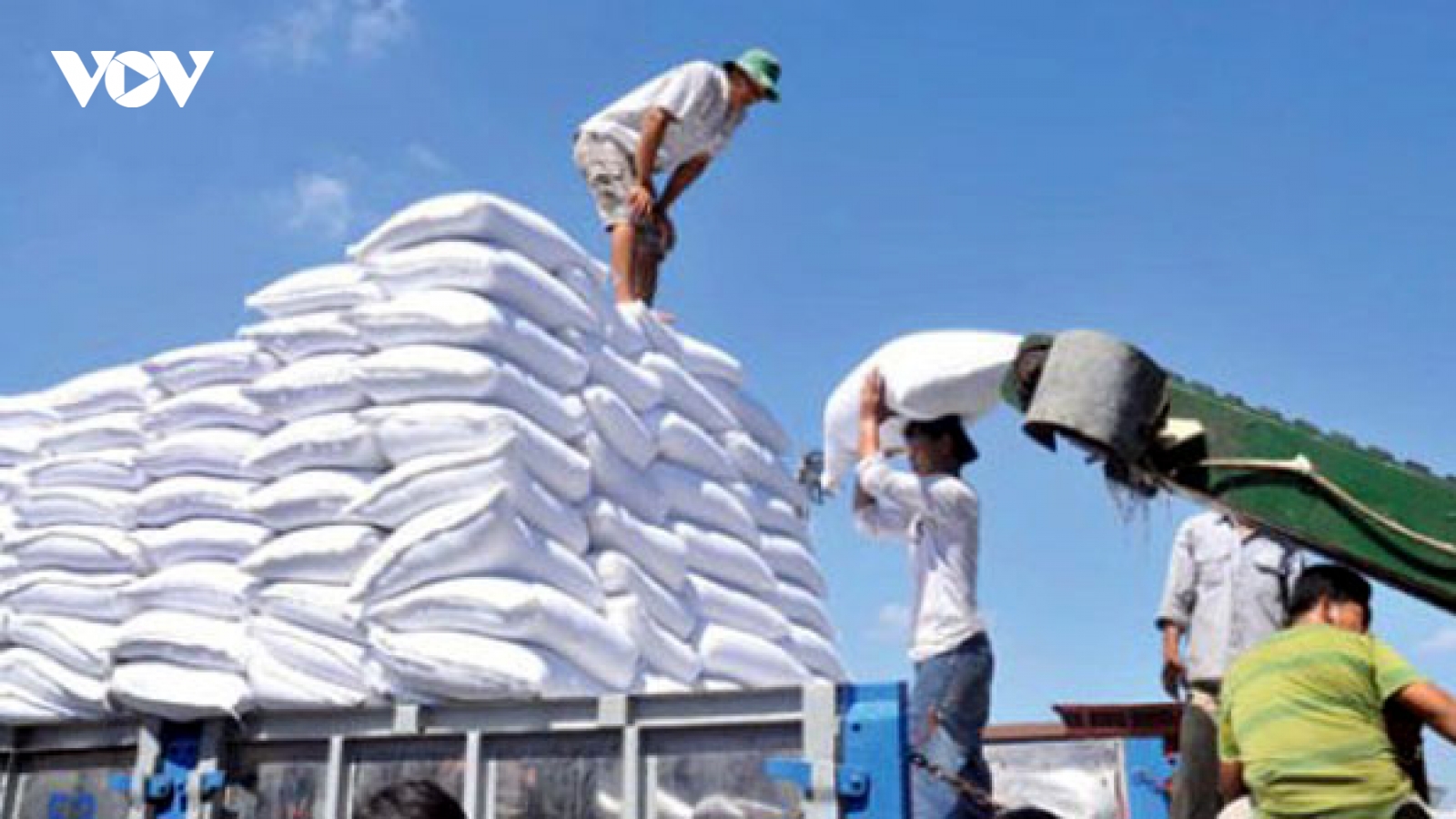 Nhập khẩu đường tăng vọt bất thường