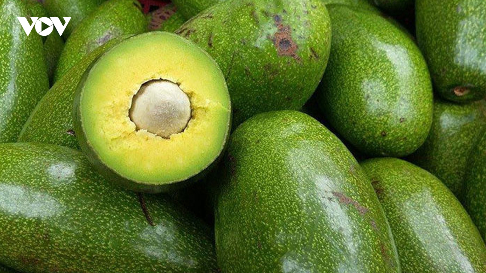 Trái cây nào sẽ được xuất khẩu nhiều nhất vào năm 2030?