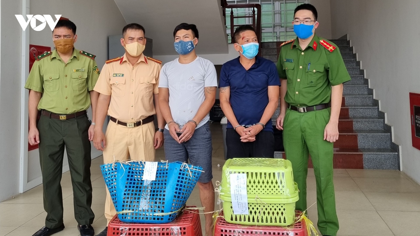 Chặn ô tô 7 chỗ, giải cứu 7 cá thể hổ còn sống
