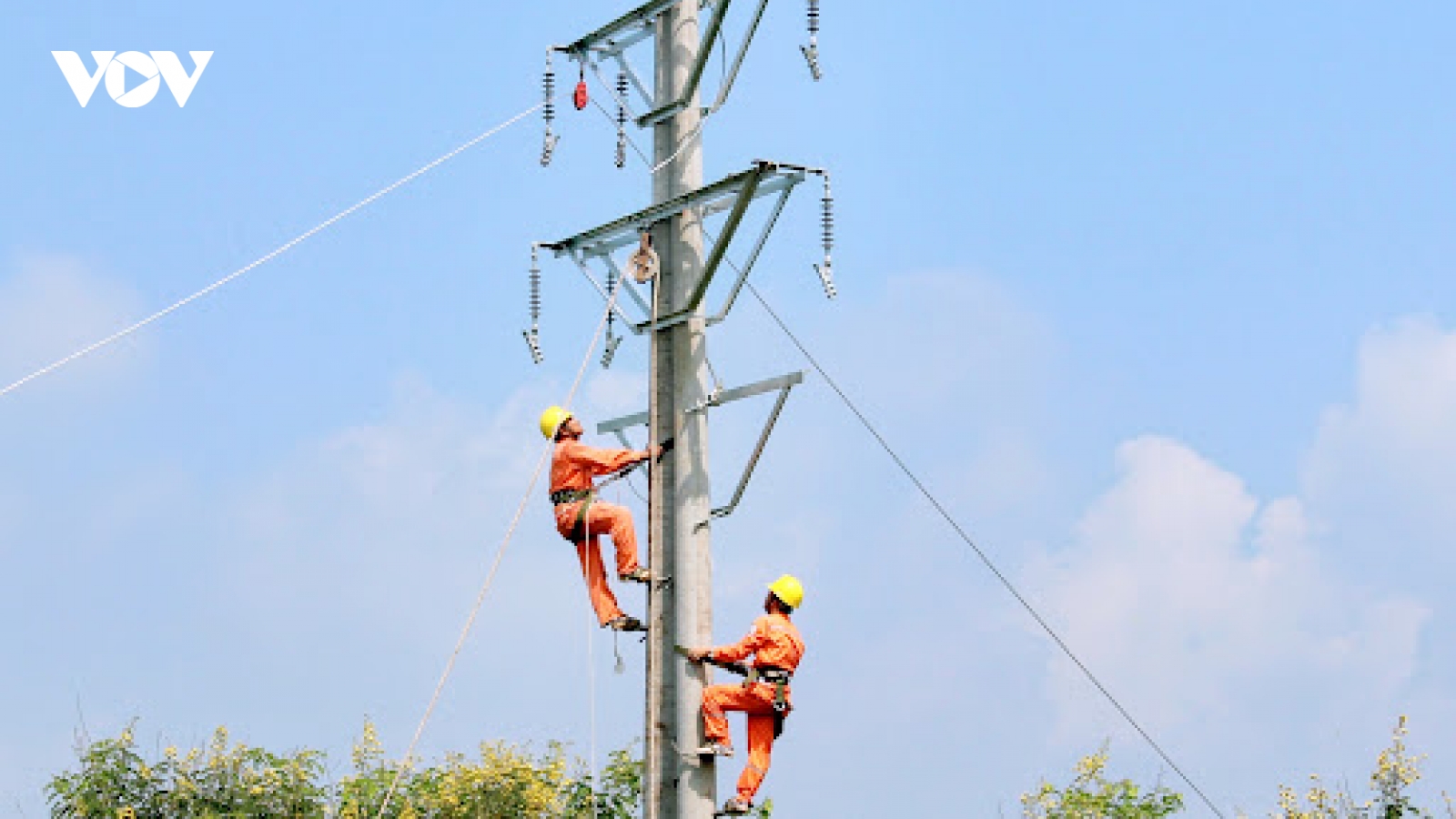 Giảm giá điện cho 3 nhóm khách hàng là doanh nghiệp chế biến thủy sản, rau quả xuất khẩu