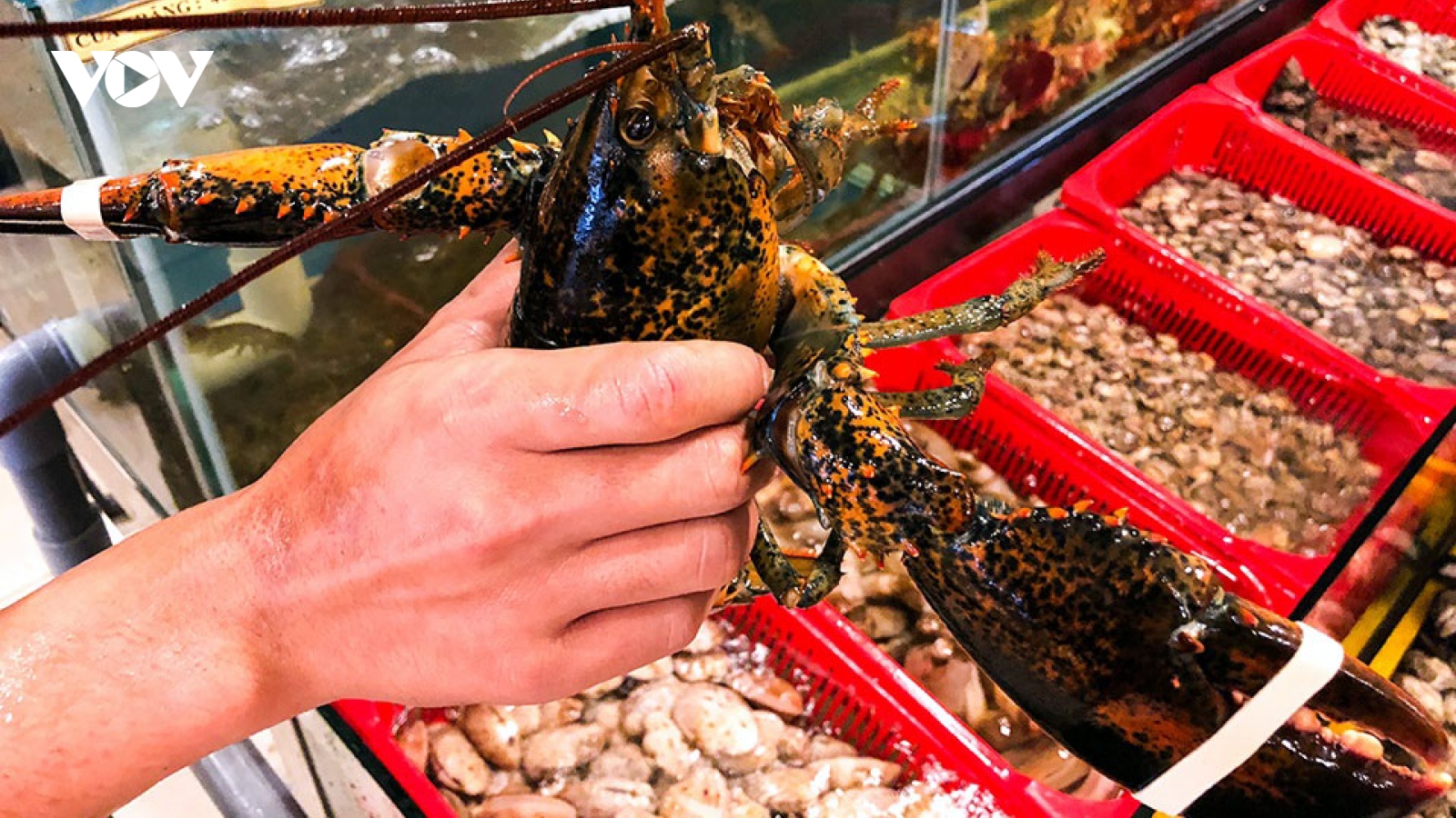Hải sản tươi ngon giảm tới vài trăm nghìn đồng vẫn khó bán