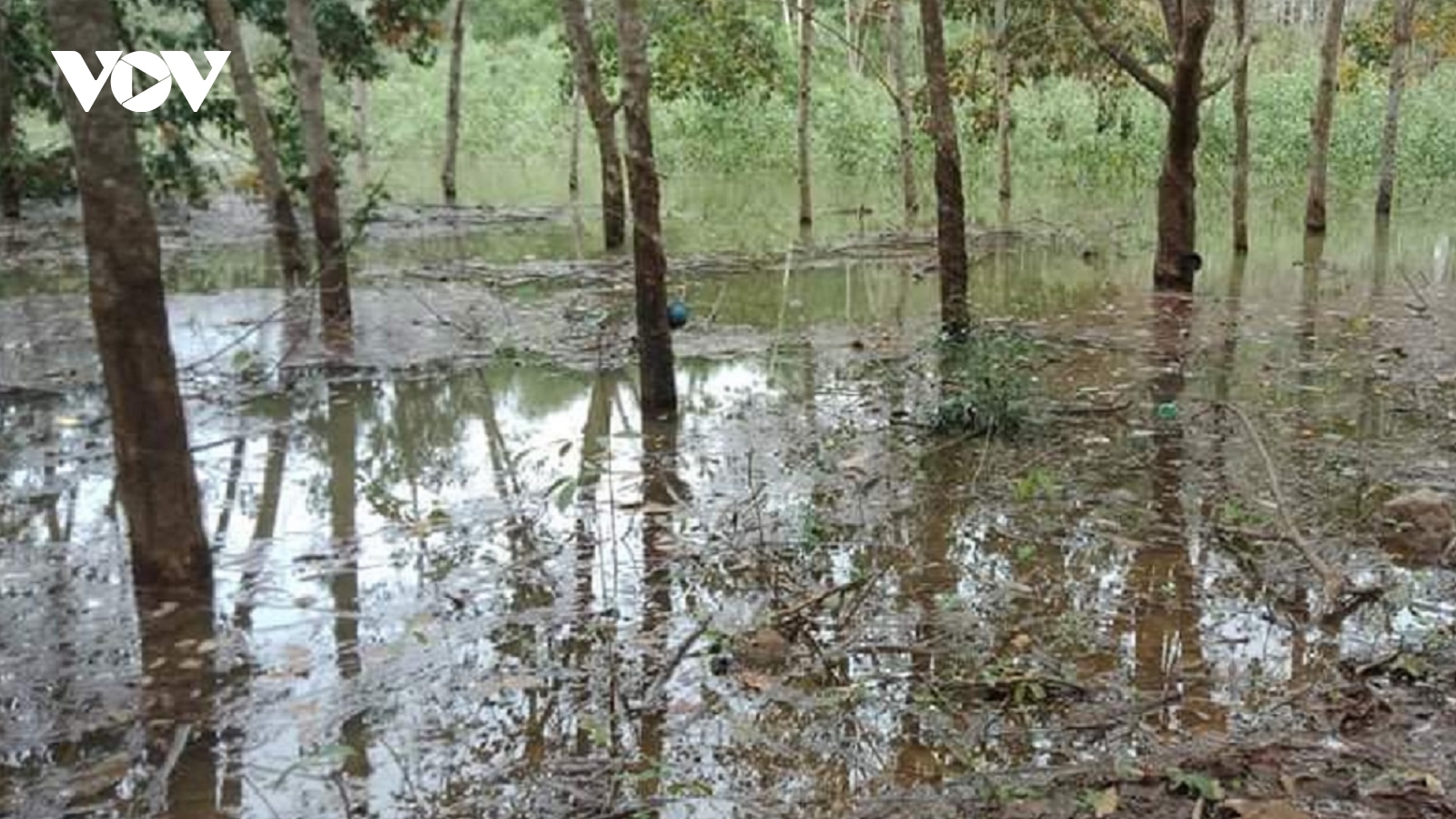 Hàng trăm hộ dân chịu thiệt hại do hồ Tả Trạch tích nước chờ bồi thường