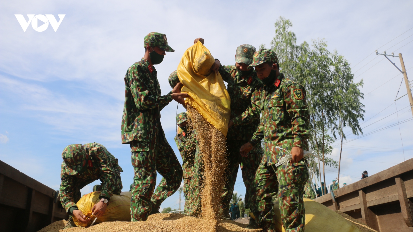Bộ đội gặt lúa, vận chuyển nông sản giúp dân vùng giãn cách