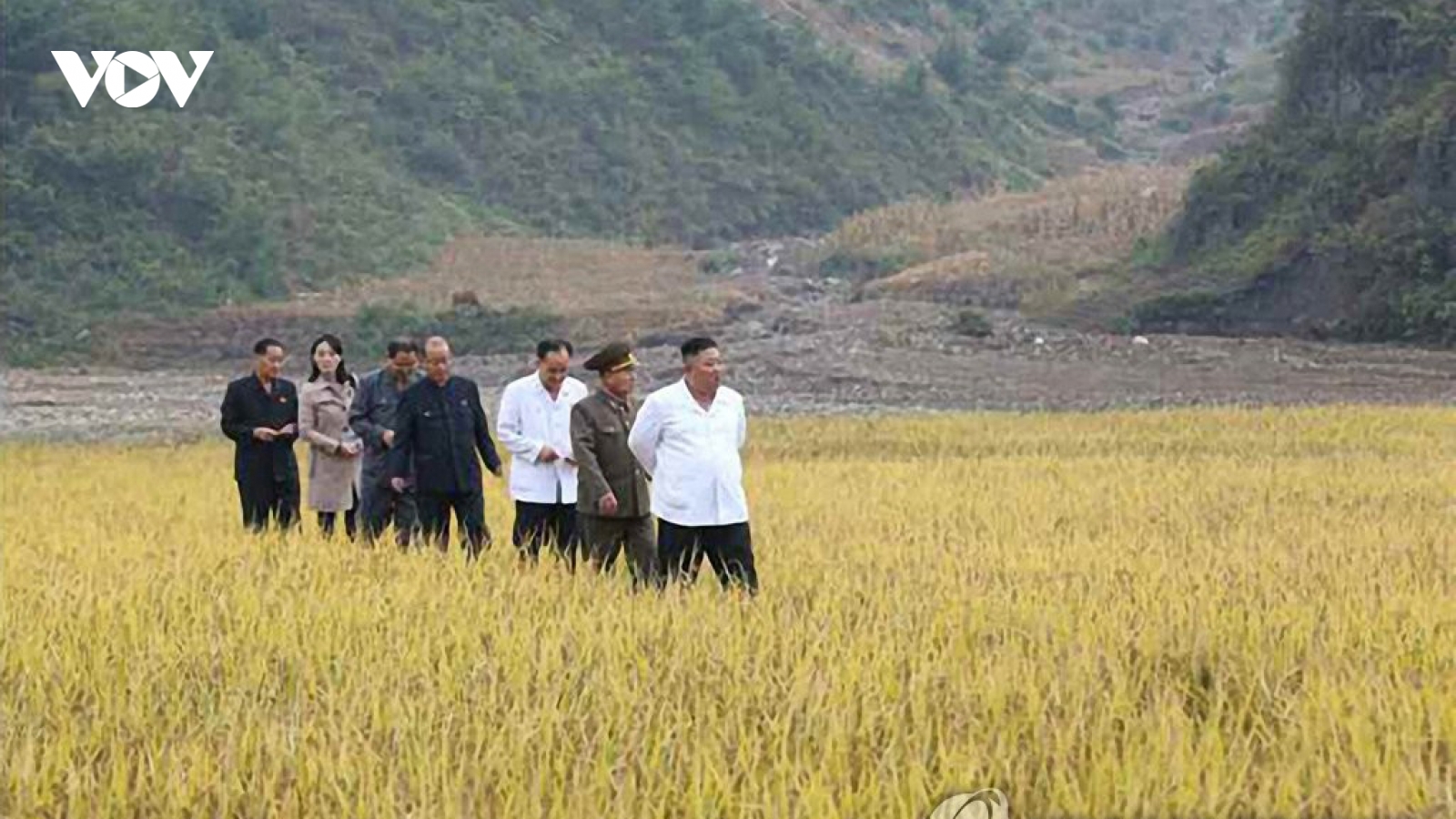 Nhà lãnh đạo Triều Tiên điều động quân đội hỗ trợ lũ lụt