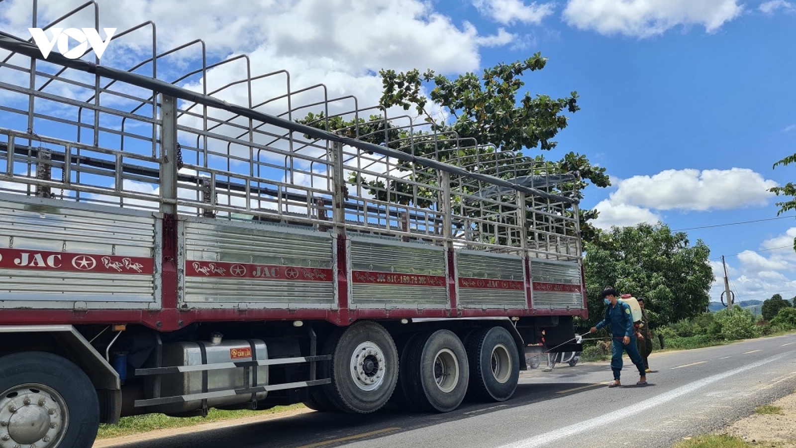 Gia Lai khẩn trương dập dịch tả lợn Châu Phi, ngăn chặn nguy cơ dịch kép trên đàn gia súc