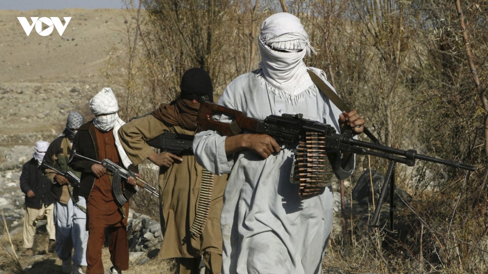Mỹ: Taliban phải chịu trách nhiệm về các “hành động bạo lực thái quá” ở Afghanistan