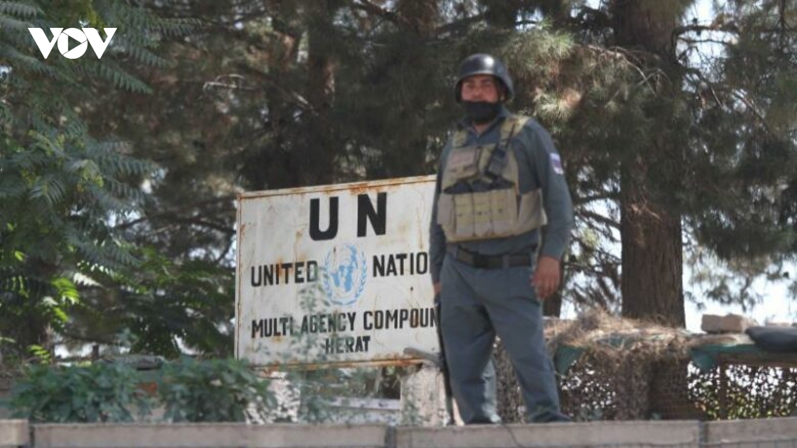 Liên Hợp Quốc bắt đầu sơ tán nhân viên rời Afghanistan