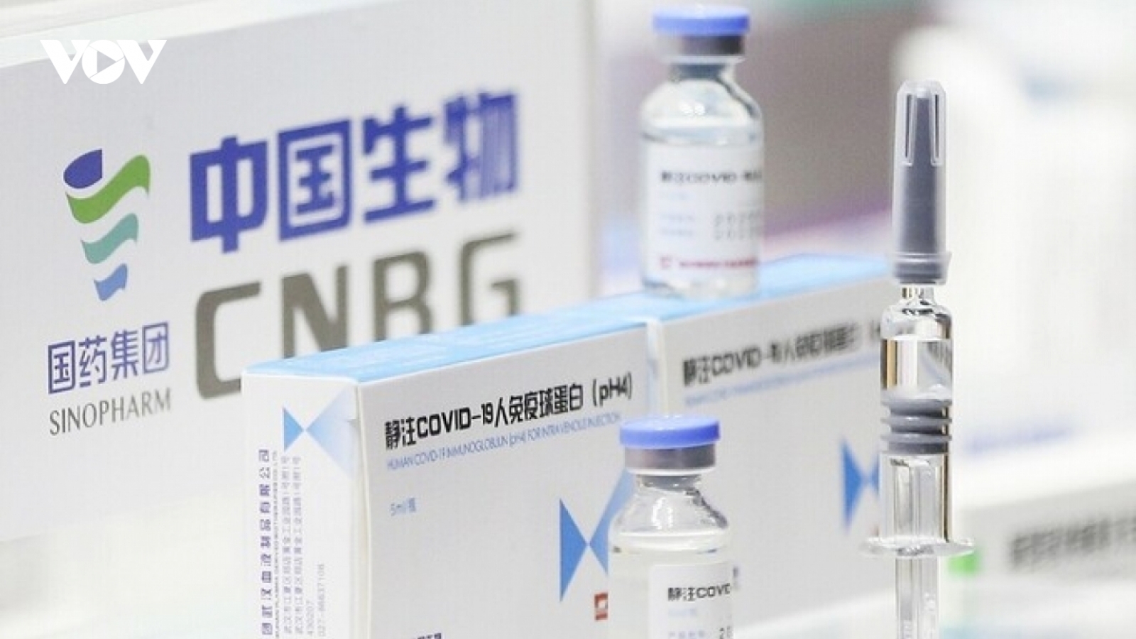 Bộ Y tế: Lô vaccine COVID-19 Vero Cell nhập về TP.HCM đủ điều kiện để sử dụng