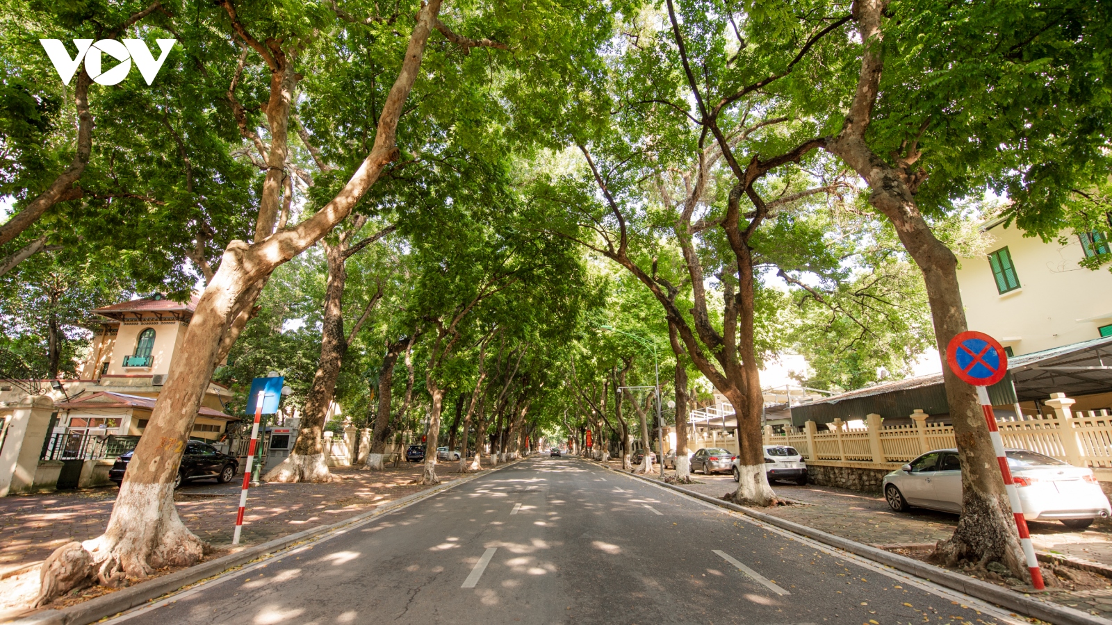 Ngắm đường phố Hà Nội rợp bóng cây xanh, thanh vắng những ngày giãn cách