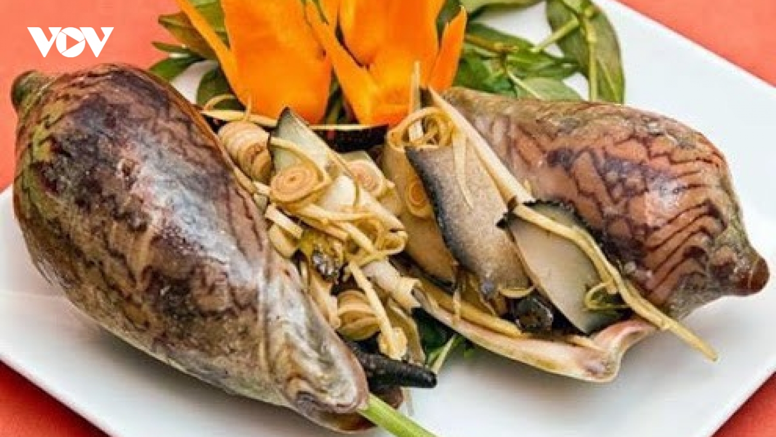 Ốc hoàng đế “siêu to khổng lồ” giá tiền triệu mỗi con