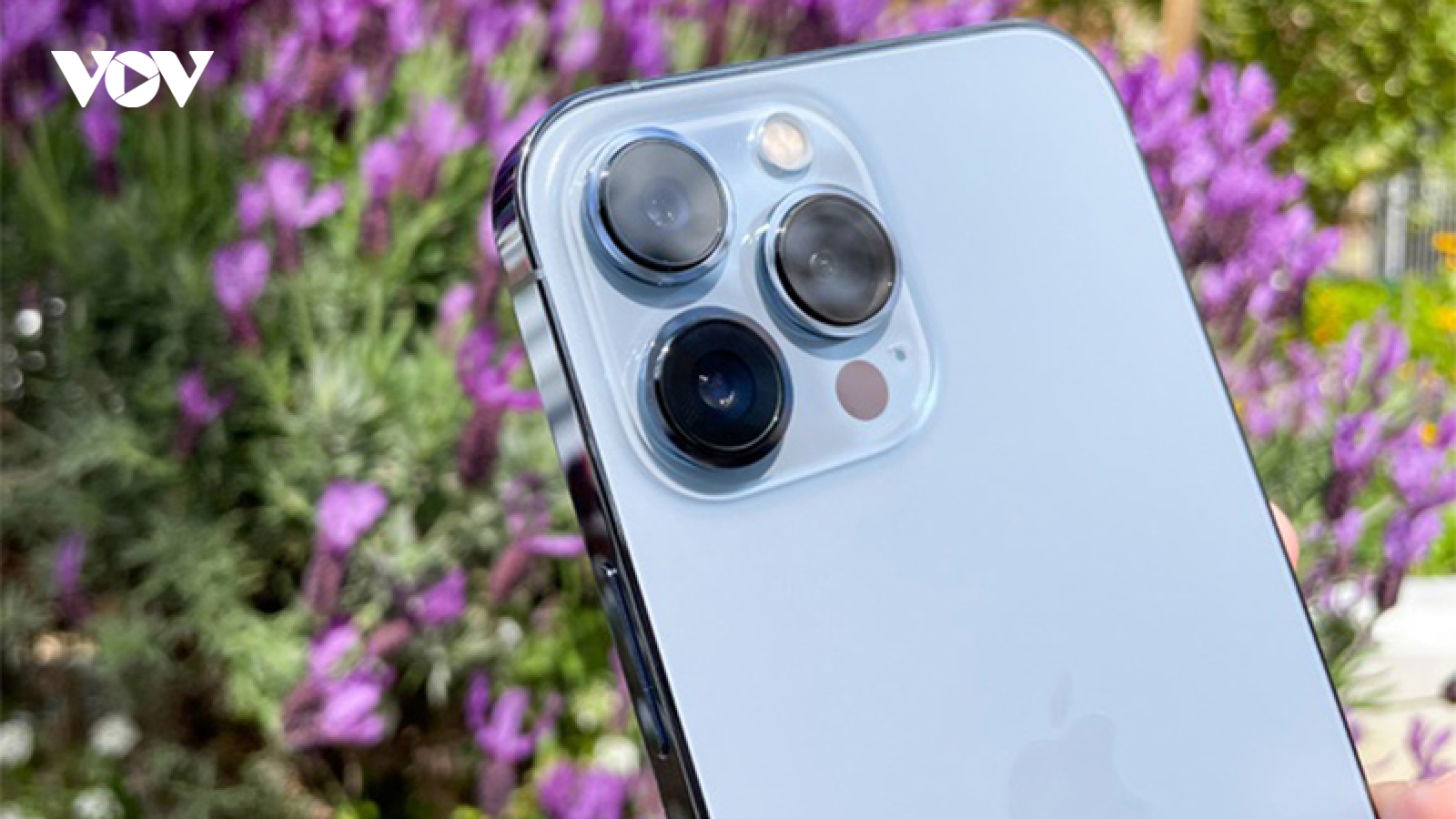 Nhu cầu iPhone 13 quá ‘khủng’, nhà cung ứng ‘bỏ rơi’ Samsung để ưu tiên Apple?