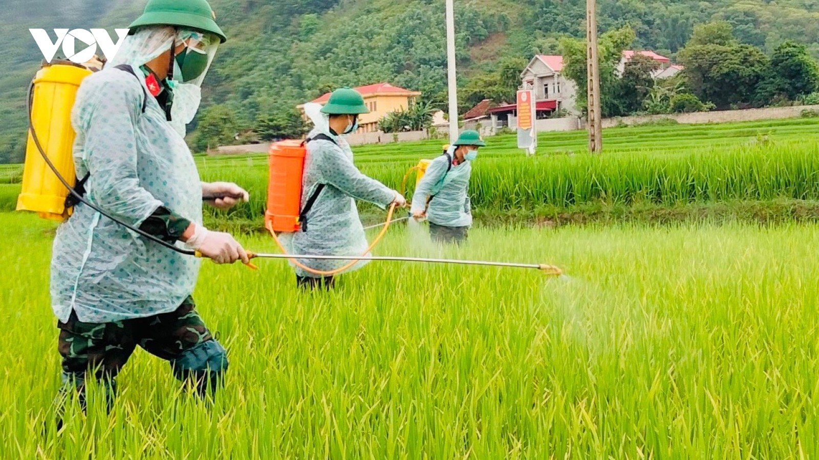 Sơn La cho phép người dân huyện Phù Yên đi thăm đồng 5 ngày/1 lần