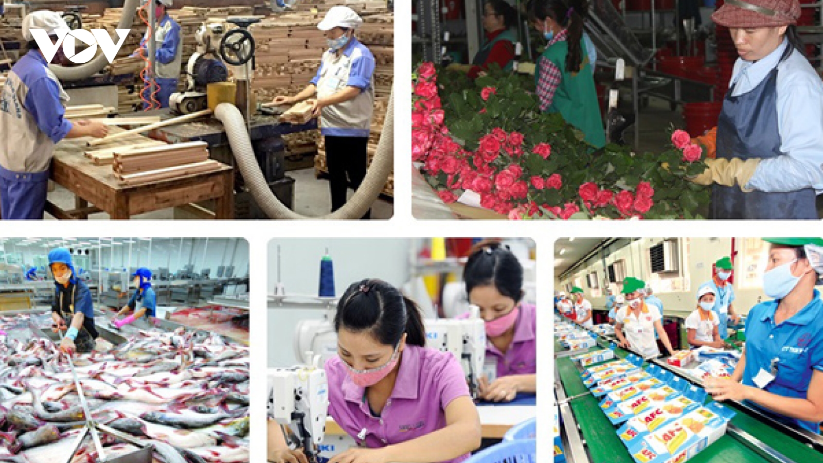 ADB dự báo tích cực về tăng trưởng kinh tế Việt Nam