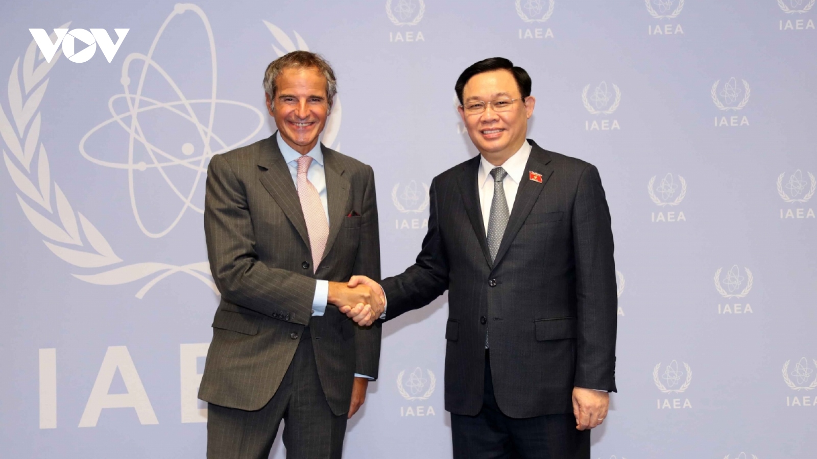 Vietnam desires IAEA's support in nuclear tech application to COVID-19 fight