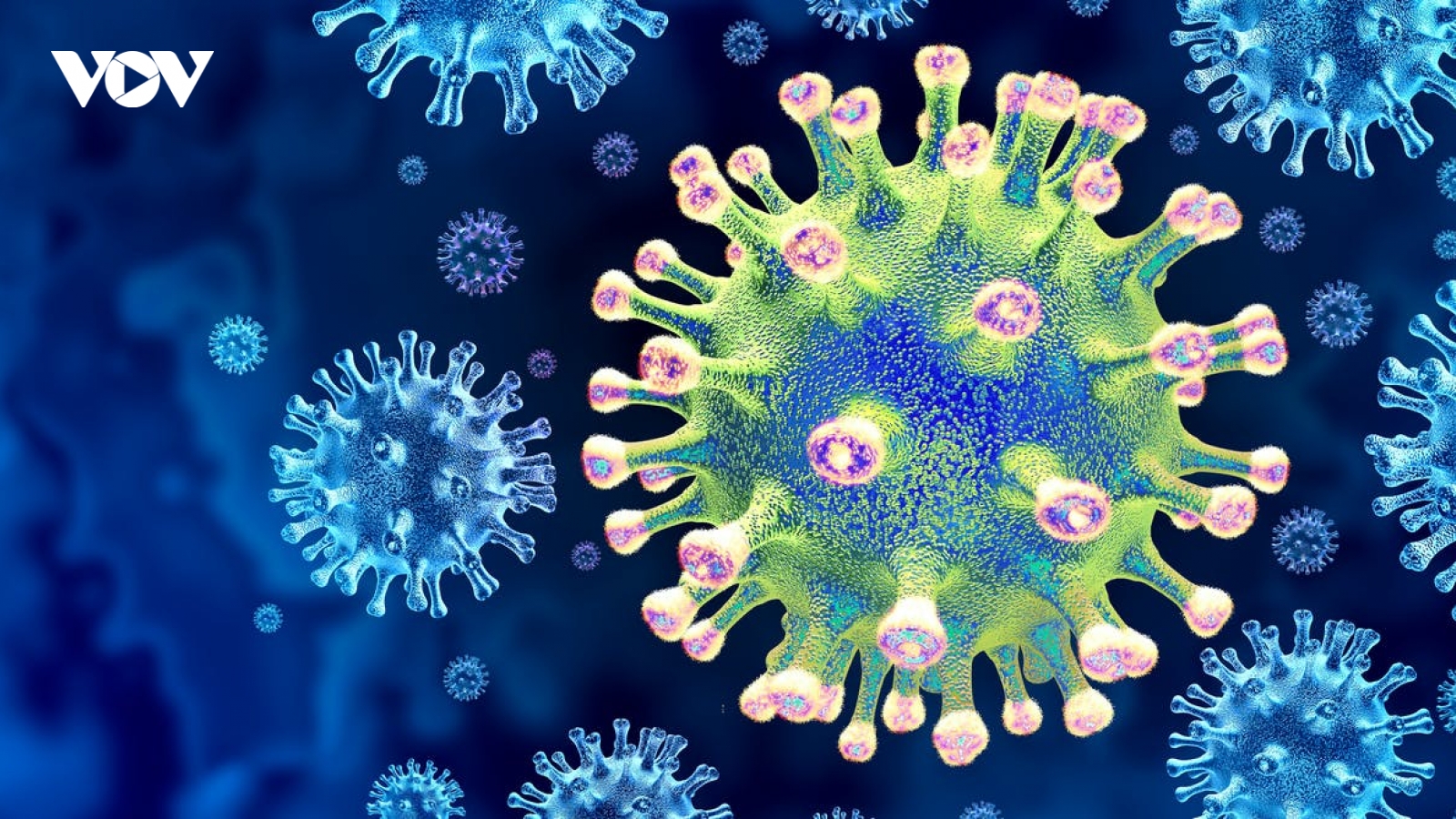 Biến thể Mu dễ lây nhiễm và có thể kháng vaccine lan ra 49/50 bang của Mỹ