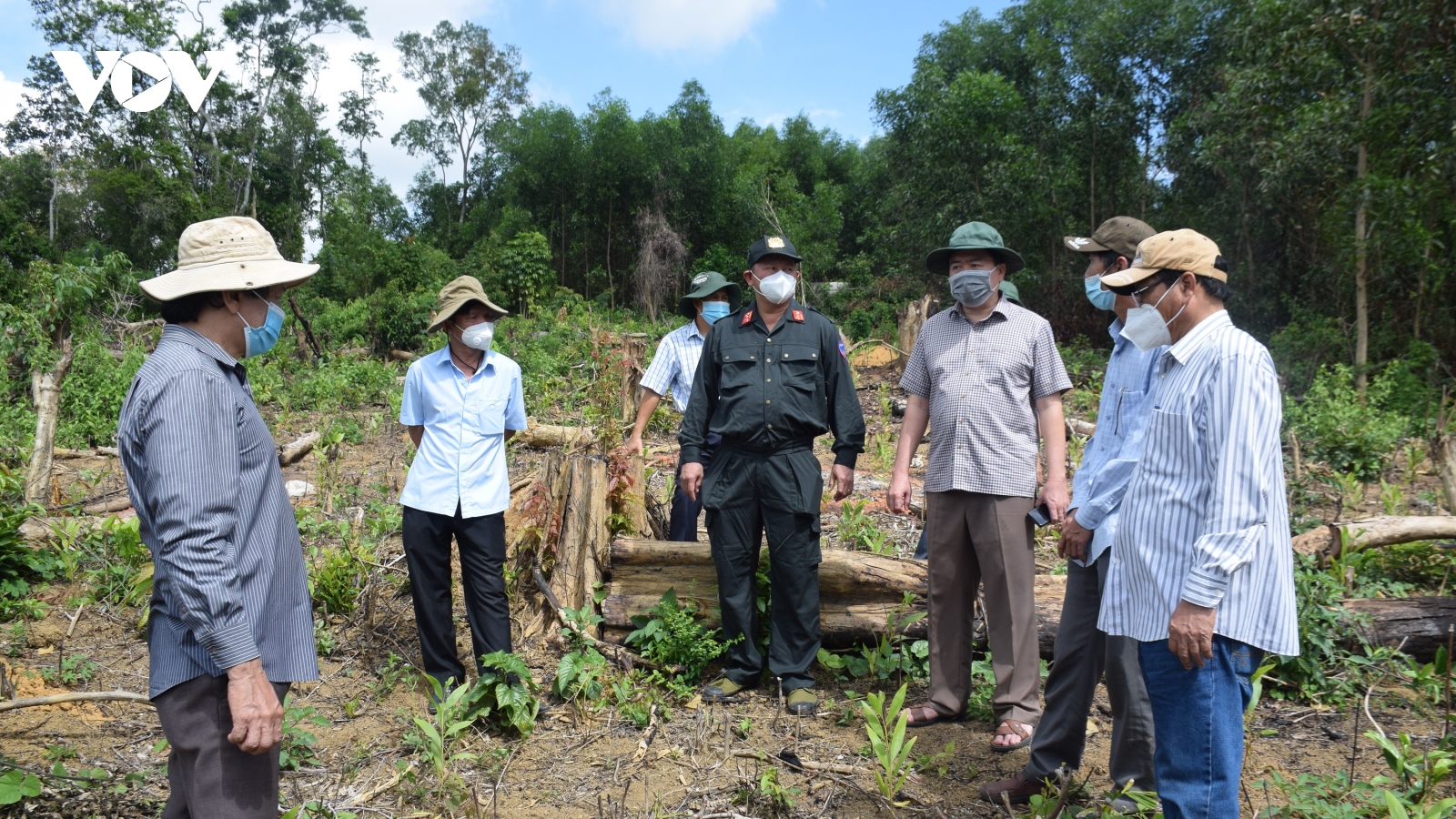 Tỉnh ủy Phú Yên yêu cầu xử lý nghiêm các cá nhân, đơn vị liên quan các vụ phá rừng