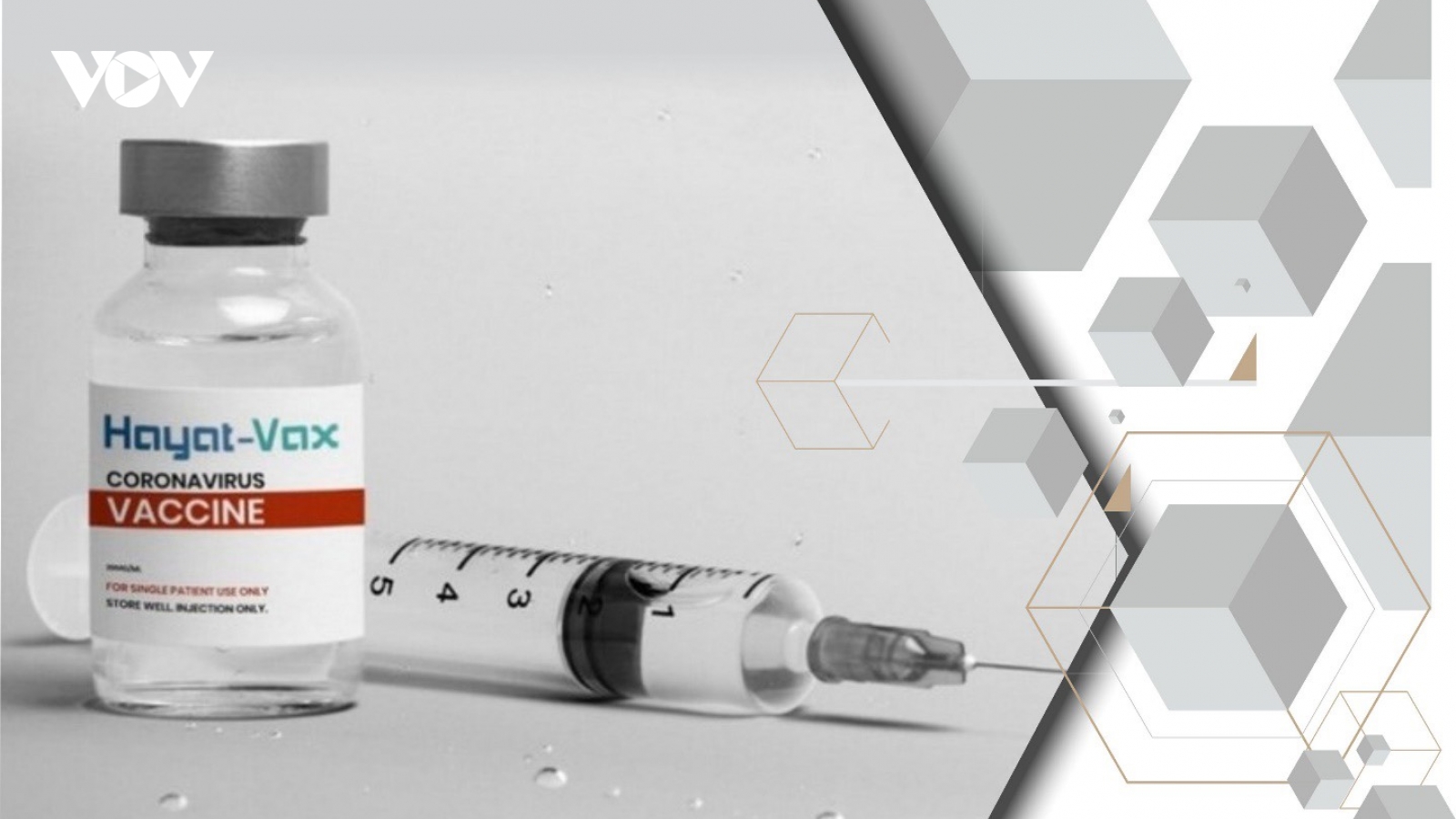 Chất lượng và hiệu quả của Vaccine Covid -19 Hayat-Vax