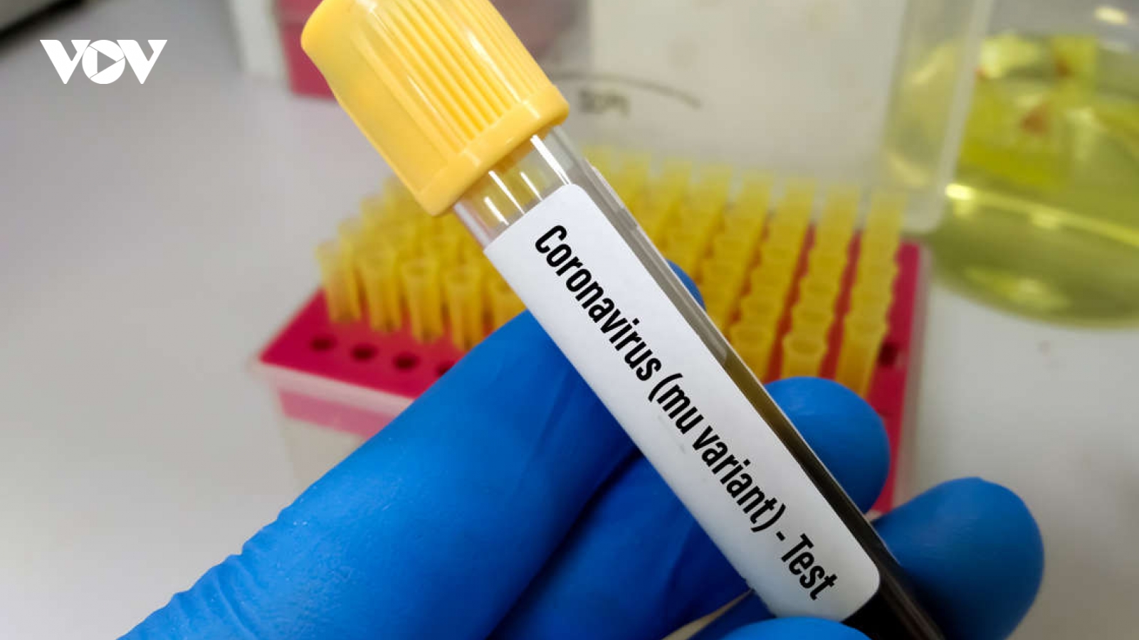 Biến thể Mu có thể kháng vaccine đã lan ra tất cả 50 bang tại Mỹ