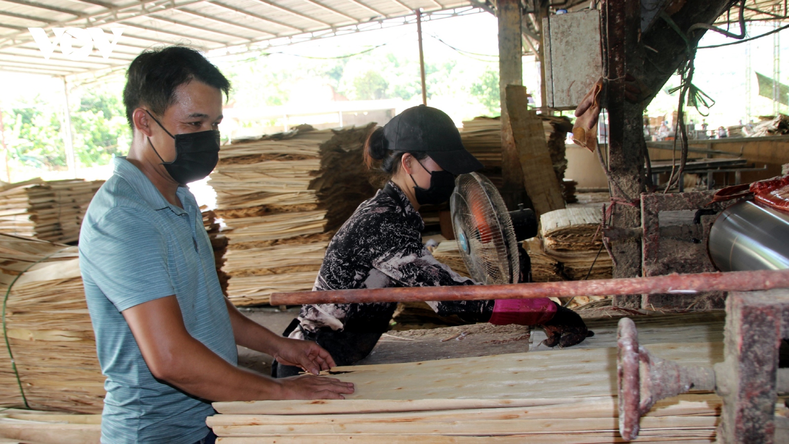 Người dân Yên Bái đang "sống khỏe" nhờ gỗ rừng trồng
