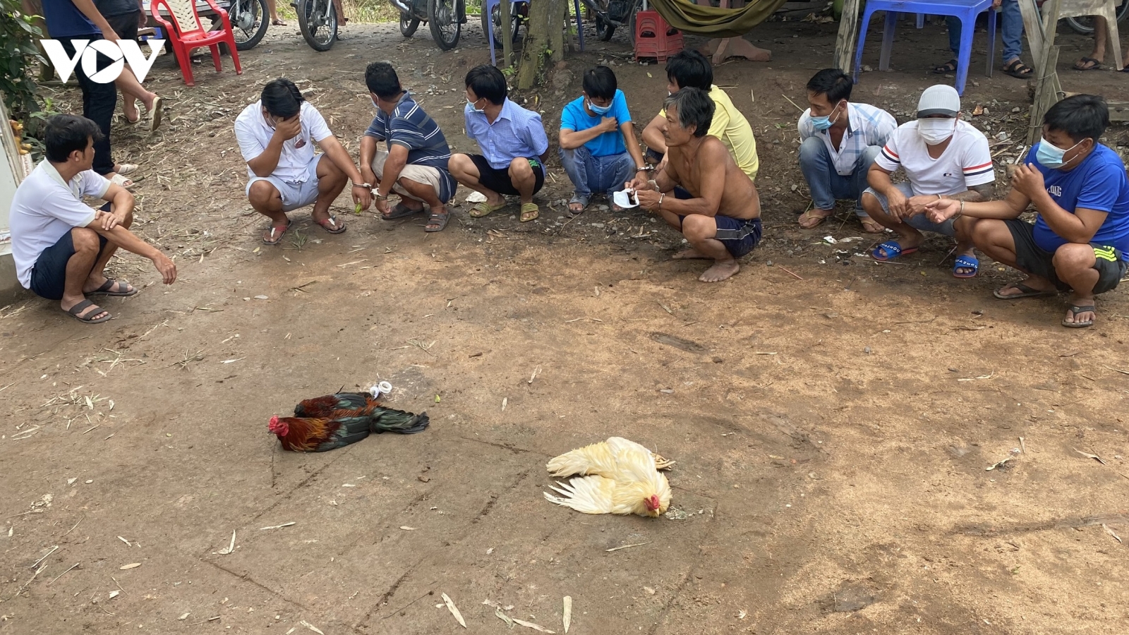 Triệt xóa tụ điểm đá gà ăn tiền giữa mùa dịch