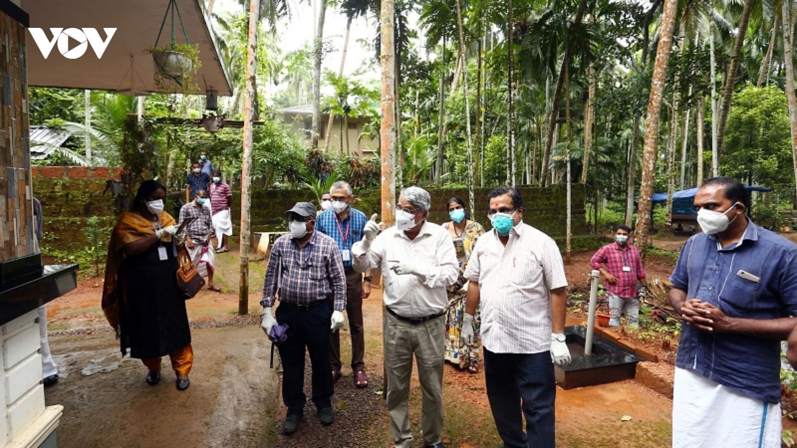 Ấn Độ phát hiện kháng thể với virus Nipah trên 2 loài dơi