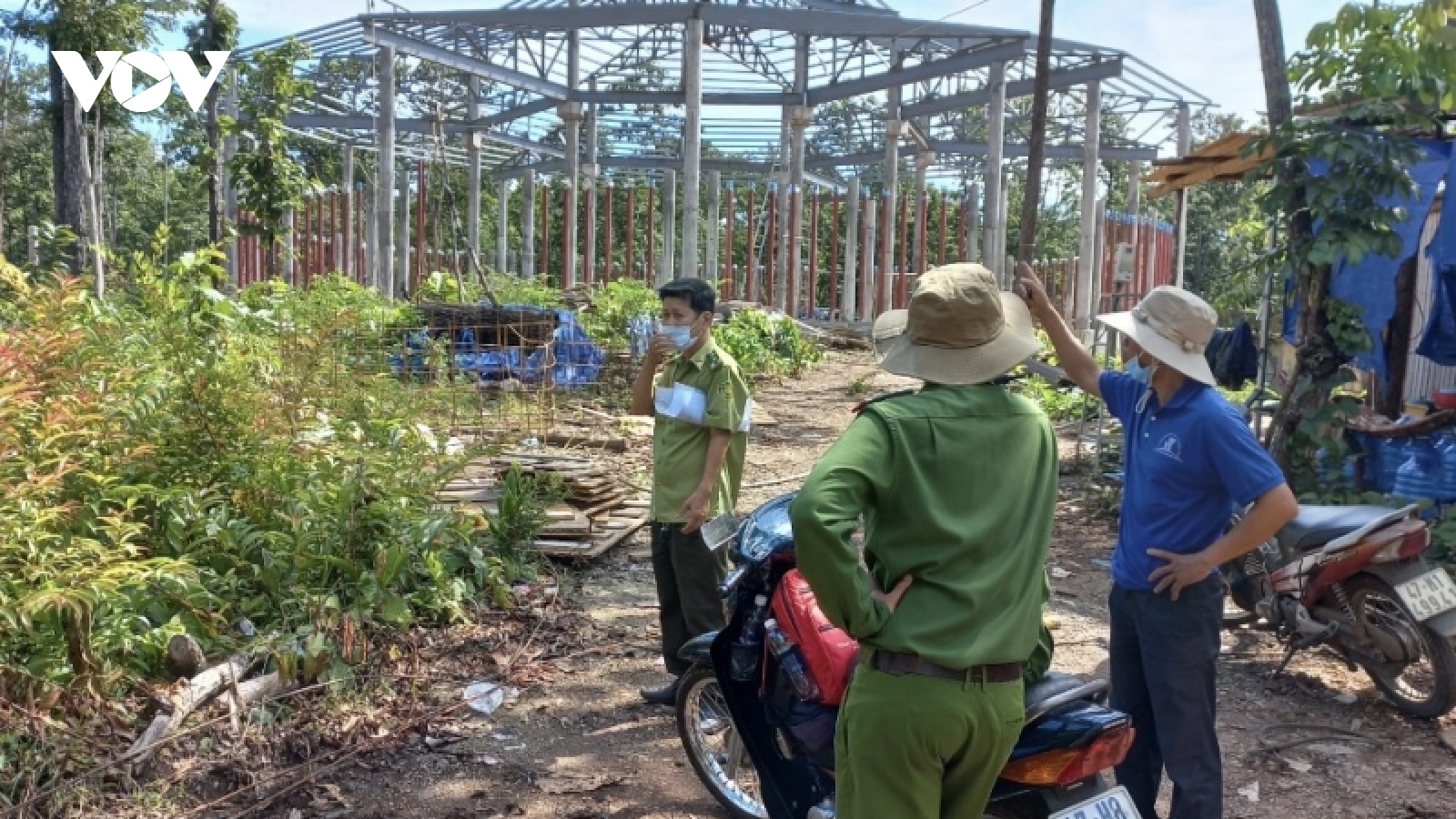 Vụ gỗ trái phép tại Trung tâm bảo tồn voi Đắk Lắk: Khám nghiệm hiện trường
