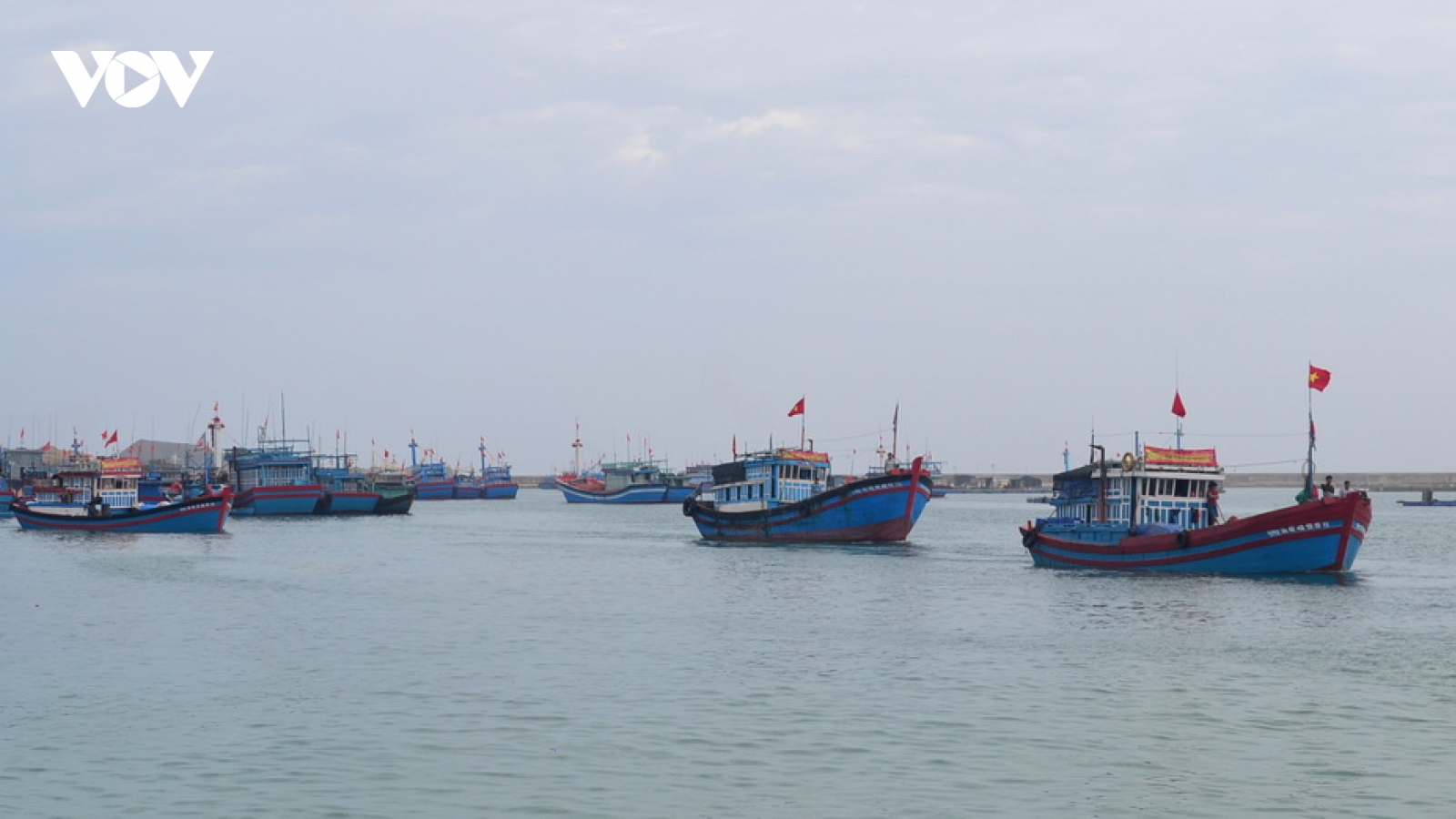 Quảng Ngãi vận động đưa 13 ngư dân Lý Sơn đi cách ly tập trung