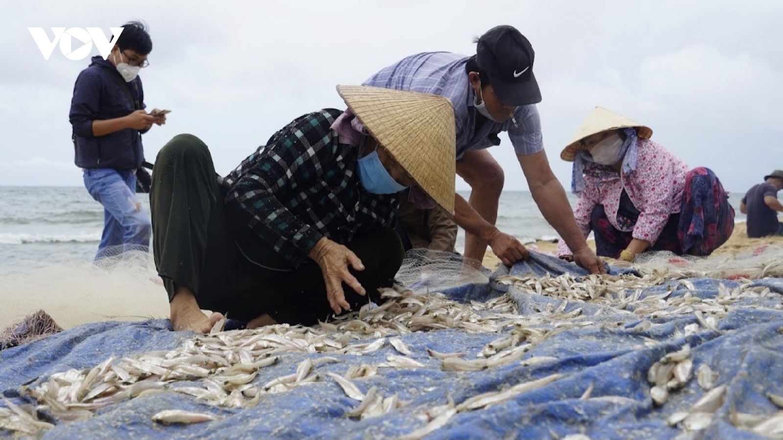 Ngư dân Bà Rịa - Vũng Tàu thu nhập tiền triệu khi được ra khơi sau giãn cách