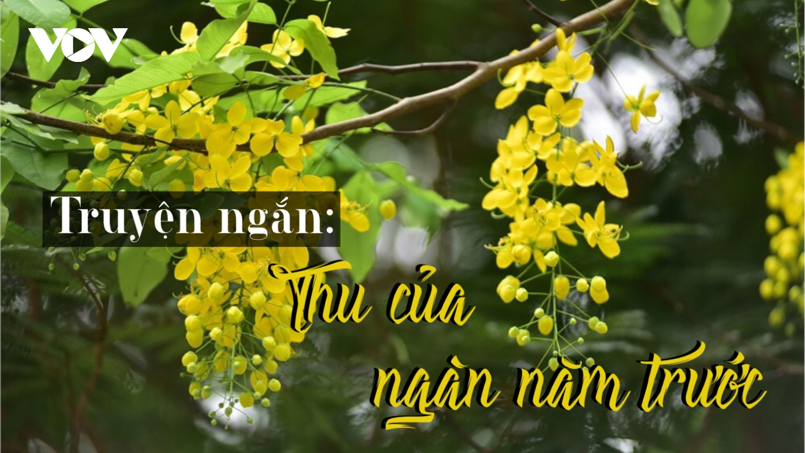 Truyện ngắn "Thu của ngàn năm trước": Cổ tích tình người