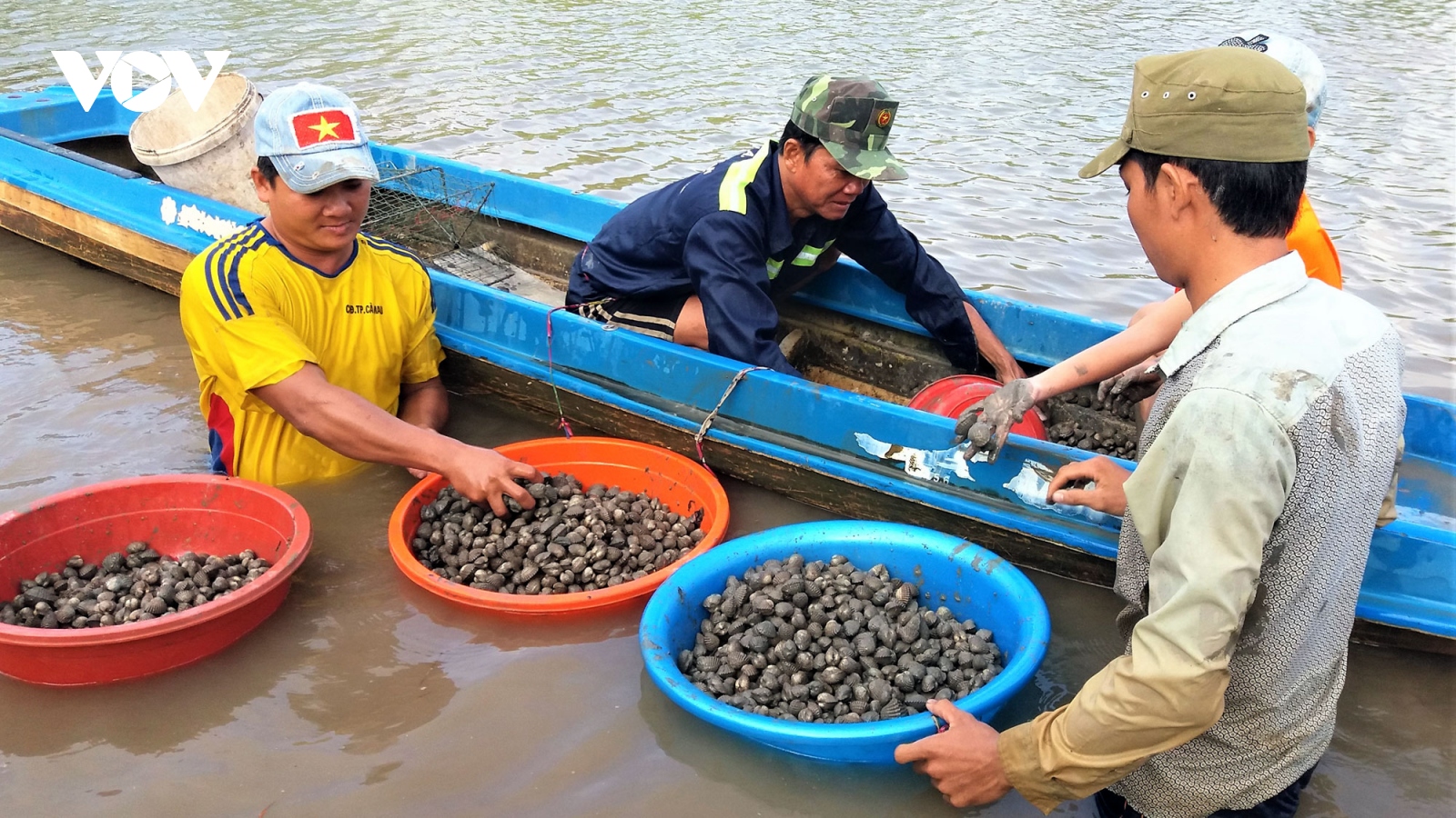 Nông thôn mới Đông Thới “mặc áo mới” nhờ nuôi con sò