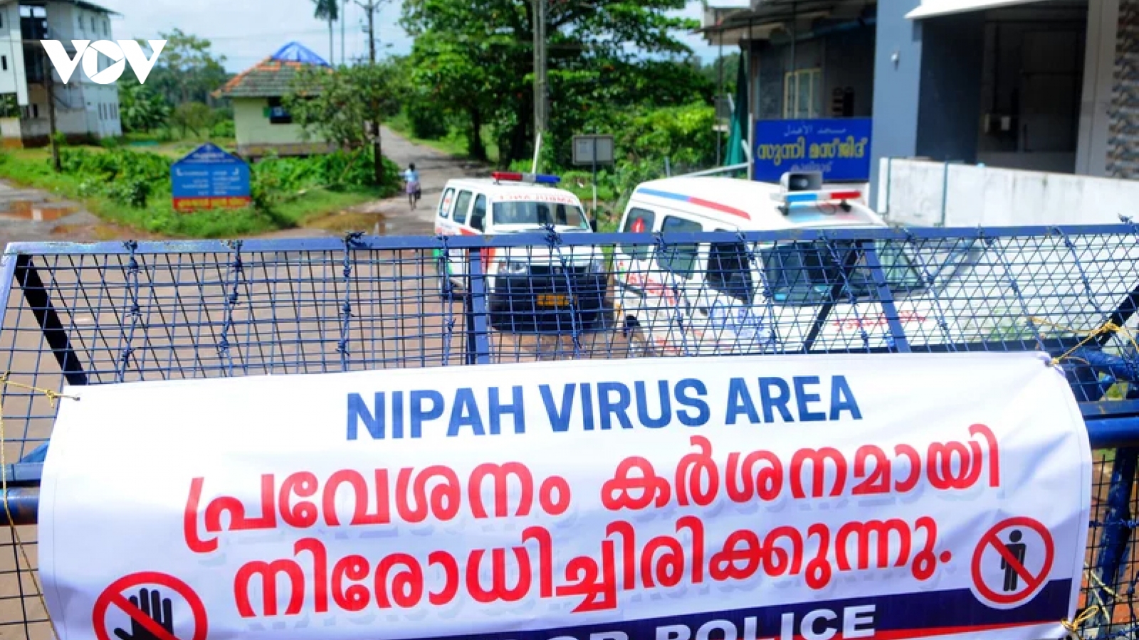 Lý do virus Nipah có thể gây đại dịch chết người giống như Covid-19